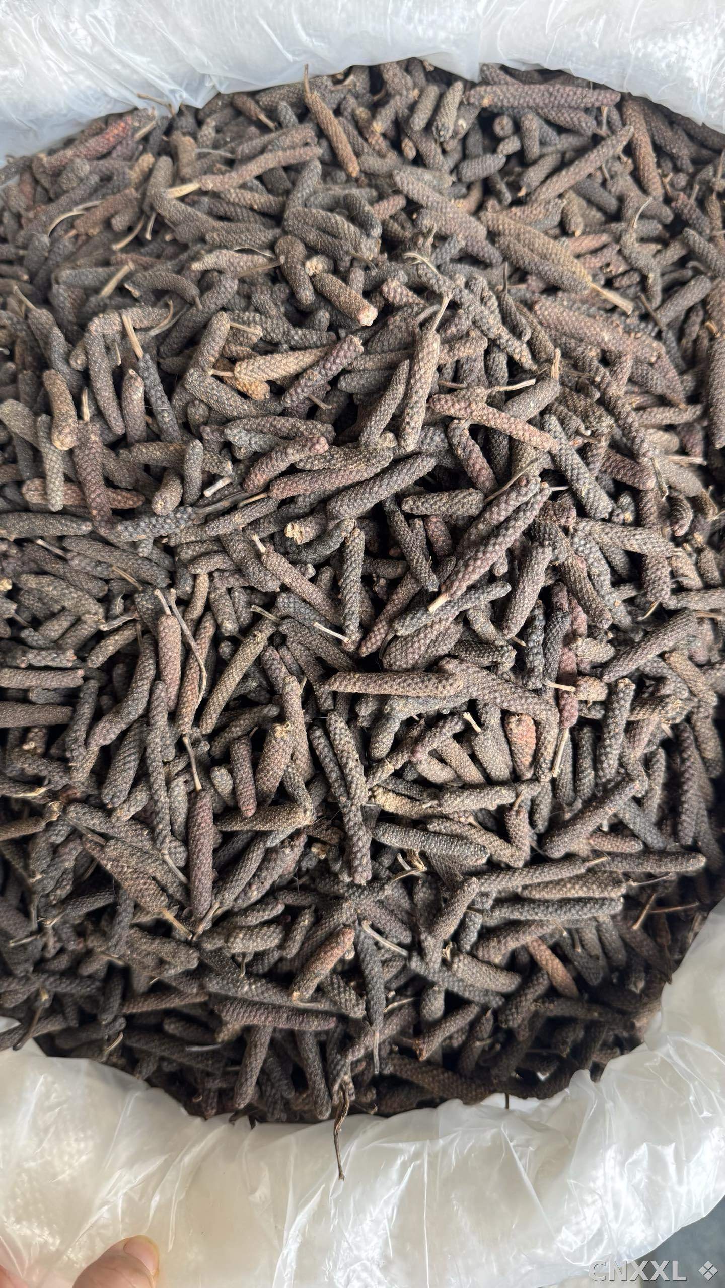 spice_8373_5e84fc95_3.jpg