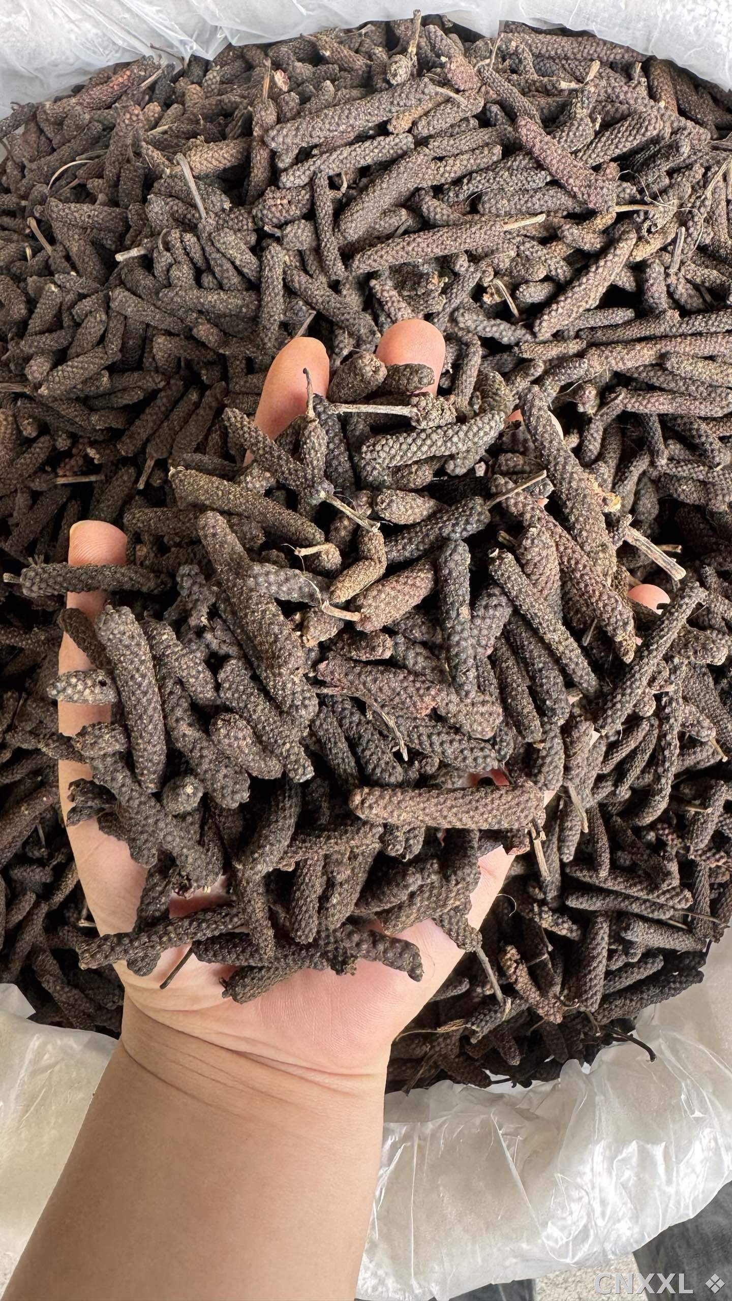spice_8373_776adbcb_2.jpg