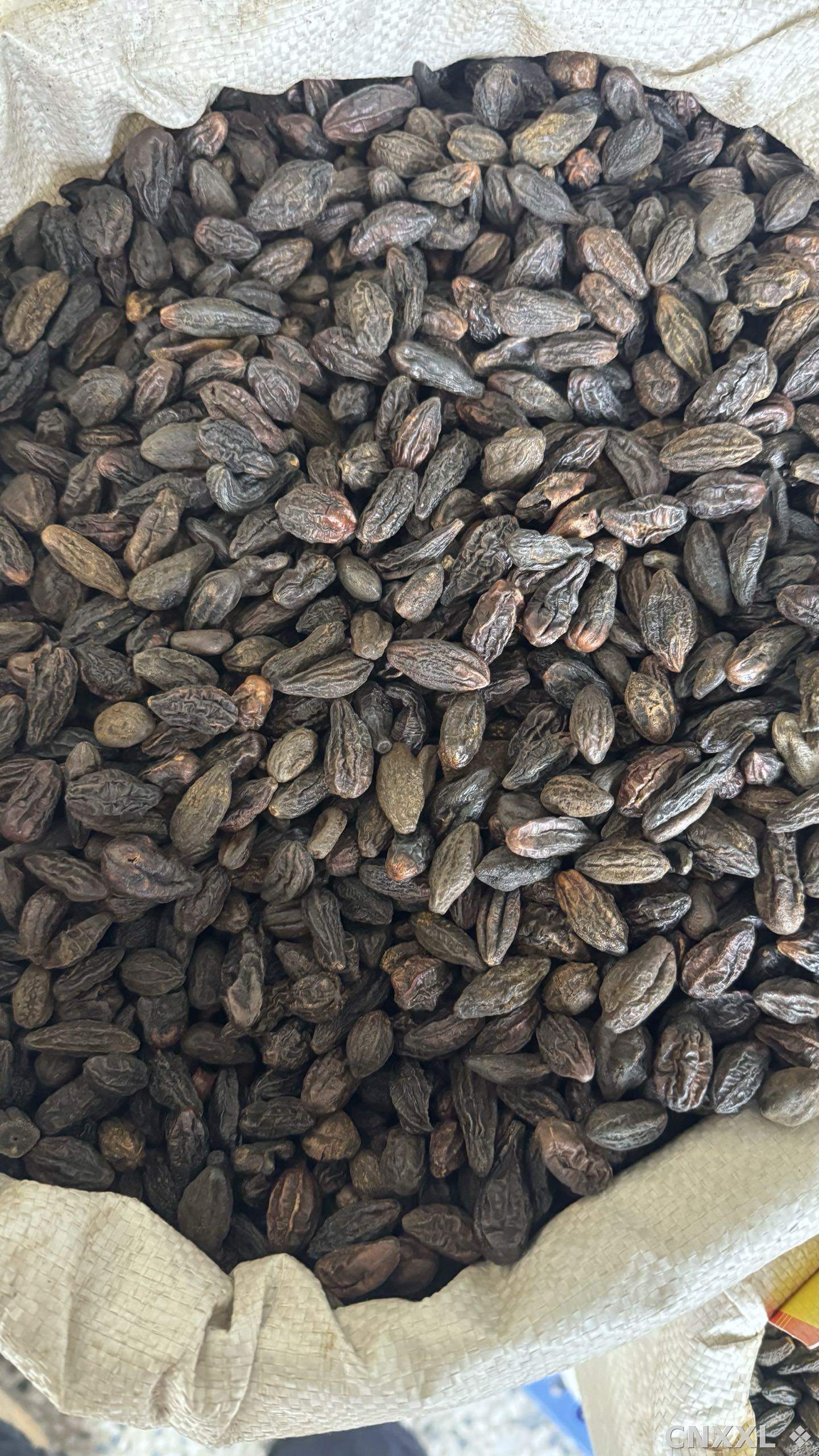 spice_8374_2c434b1d_3.jpg