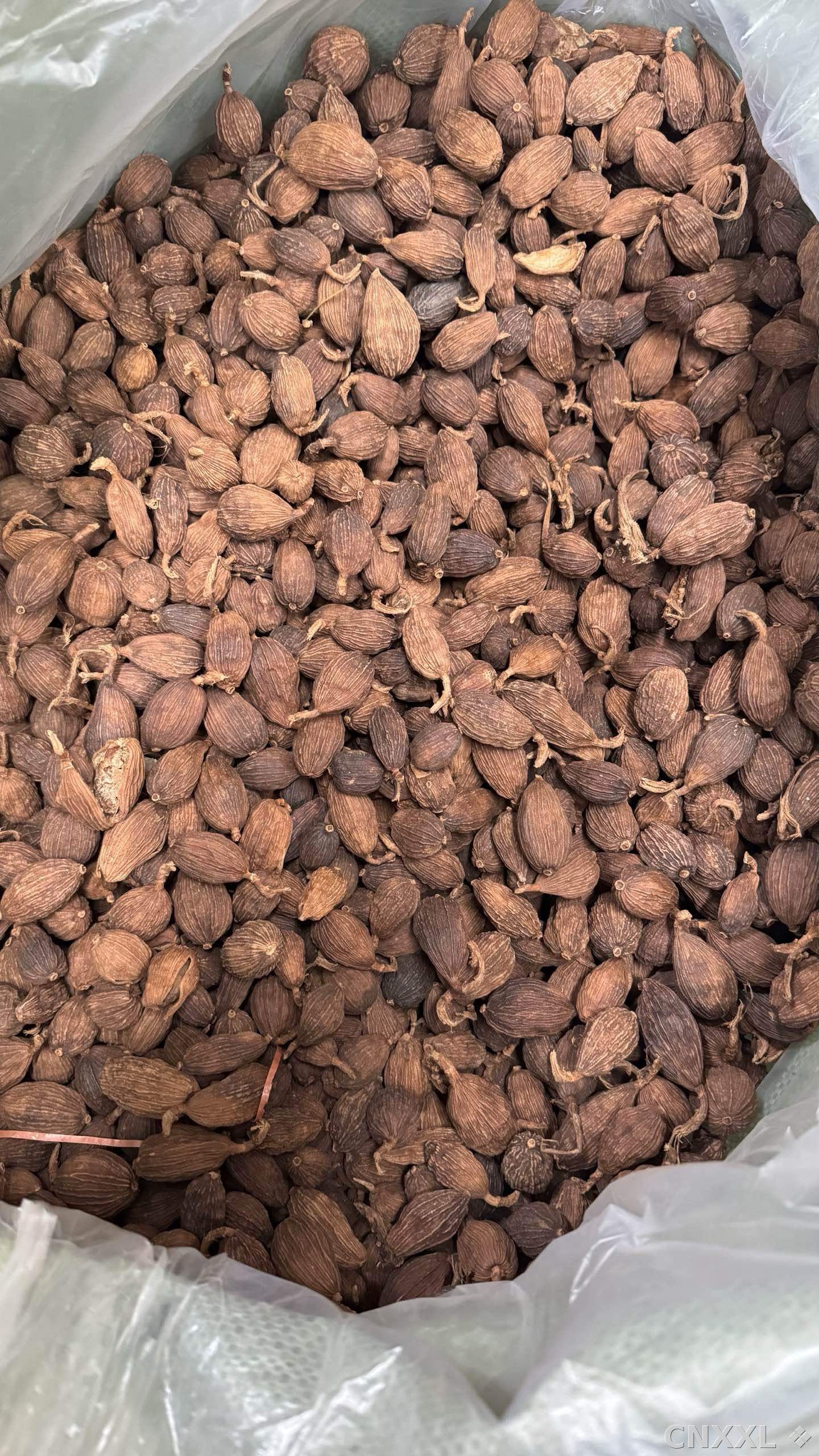 spice_8392_a6ad33eb_3.jpg