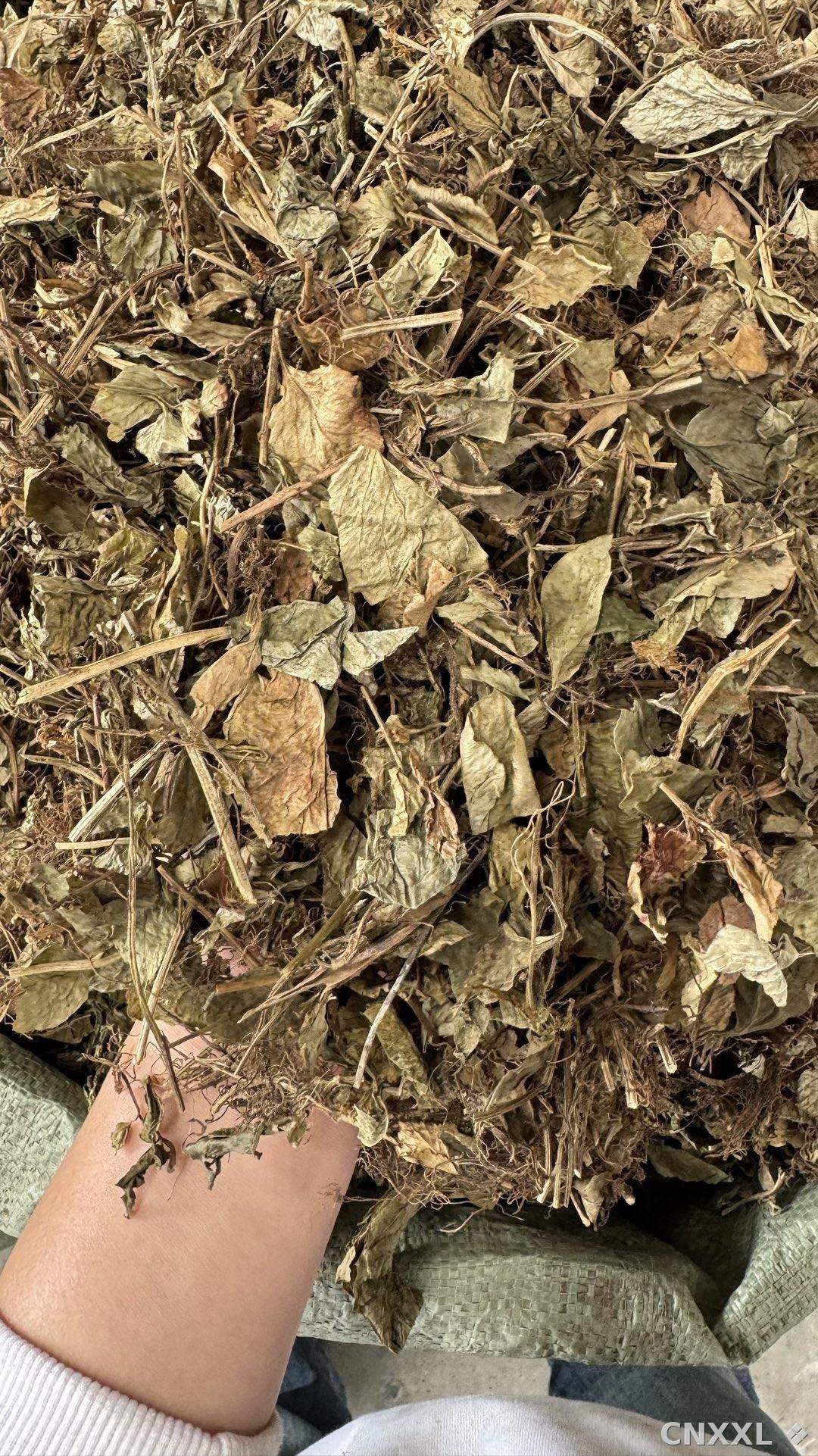 spice_8422_f5f3b0ef_3.jpg