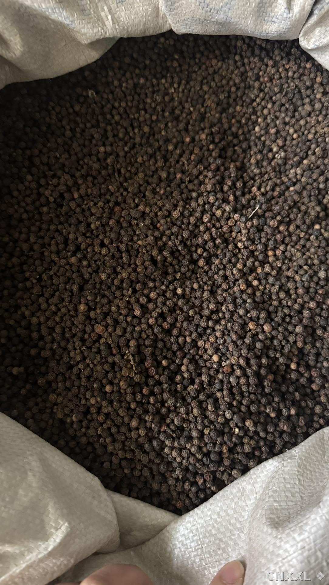spice_8424_5b92b292_3.jpg