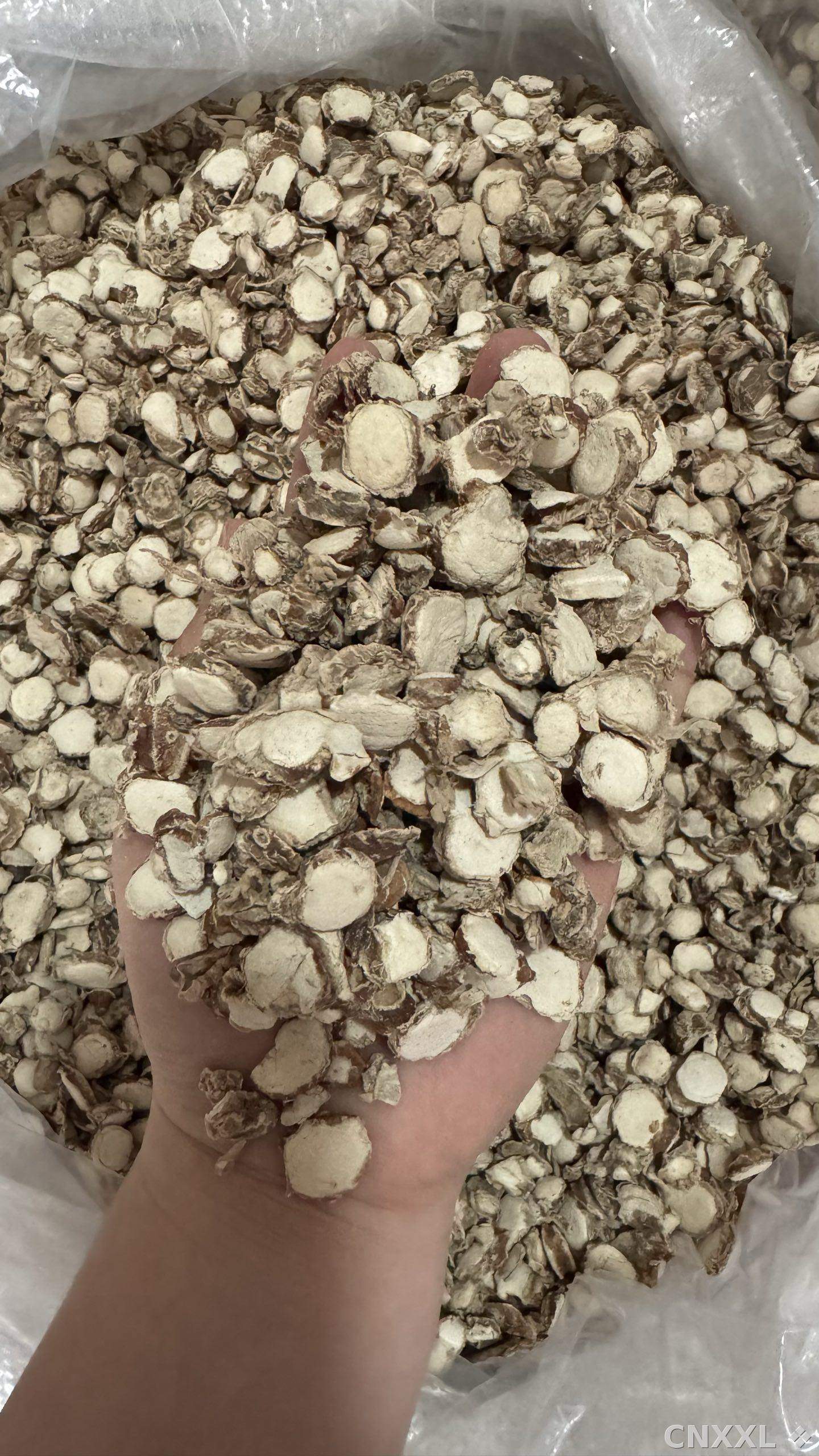 spice_8435_738214ea_2.jpg