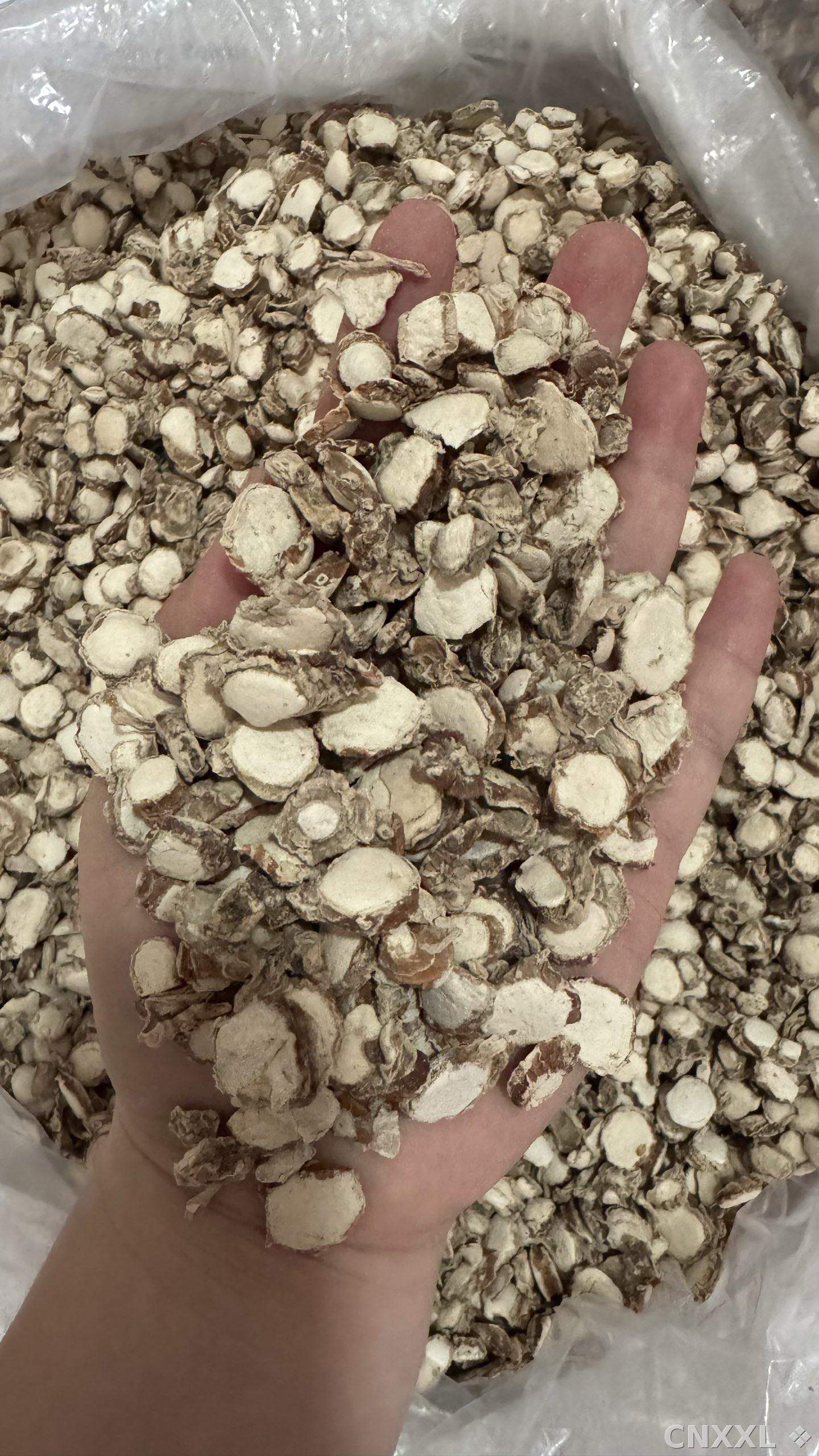 spice_8435_ec7cb078_1.jpg