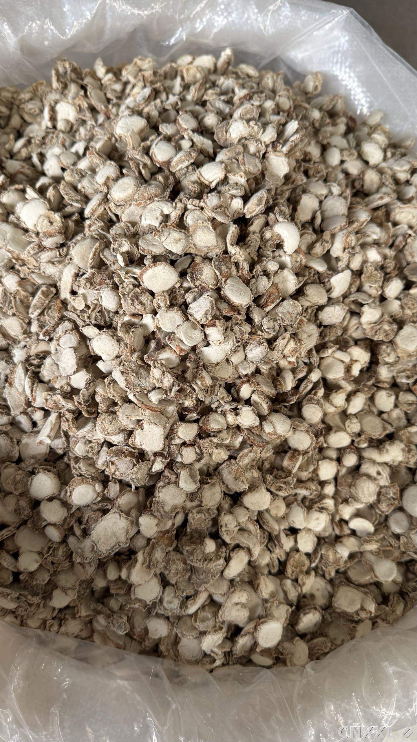 spice_8436_43412193_2.jpg
