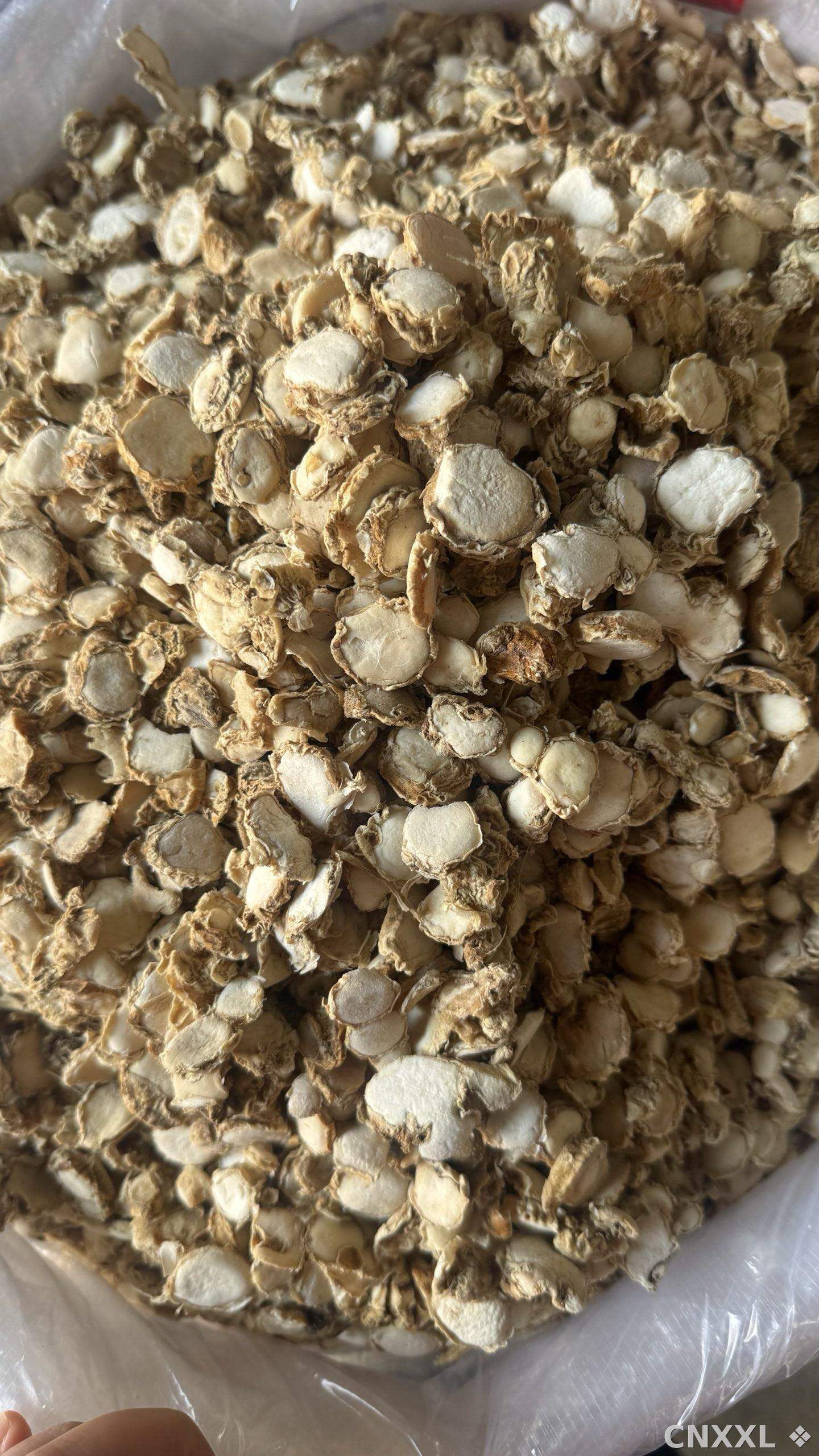 spice_8439_e9a77f1c_3.jpg