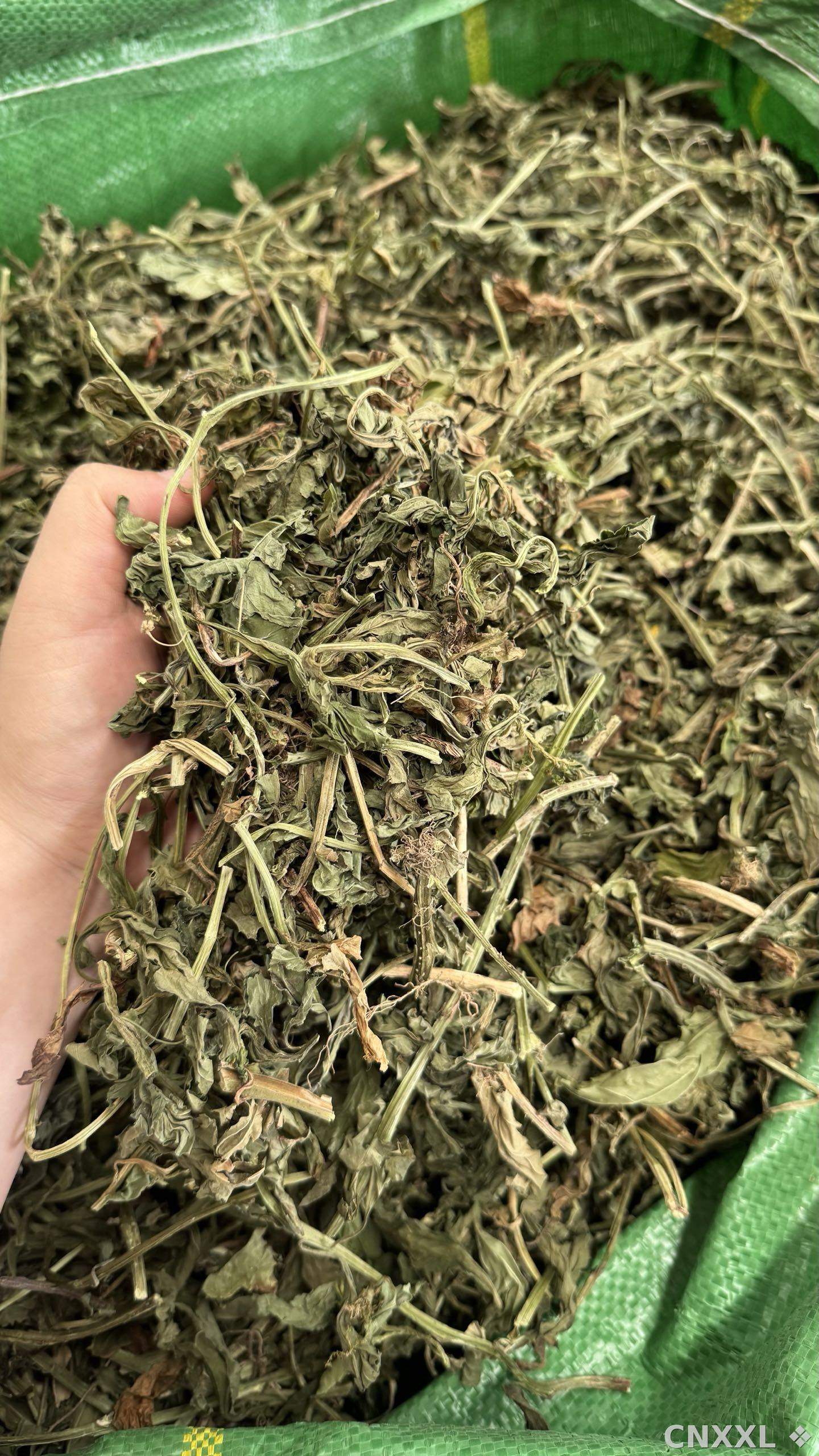 spice_8551_ee8f5256_1.jpg