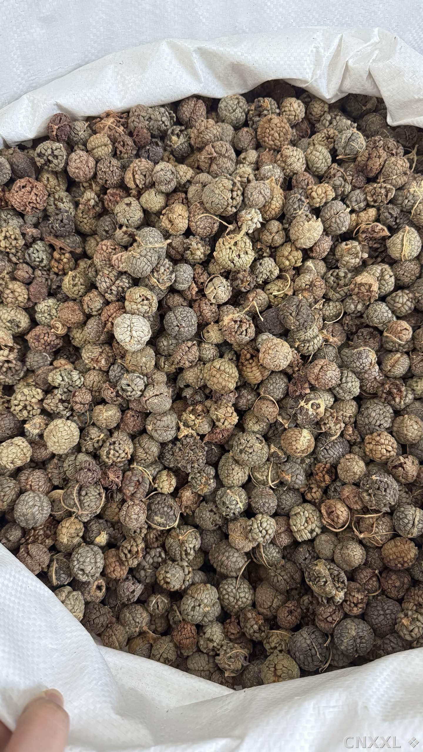 spice_85_9a8875a1_3.jpg