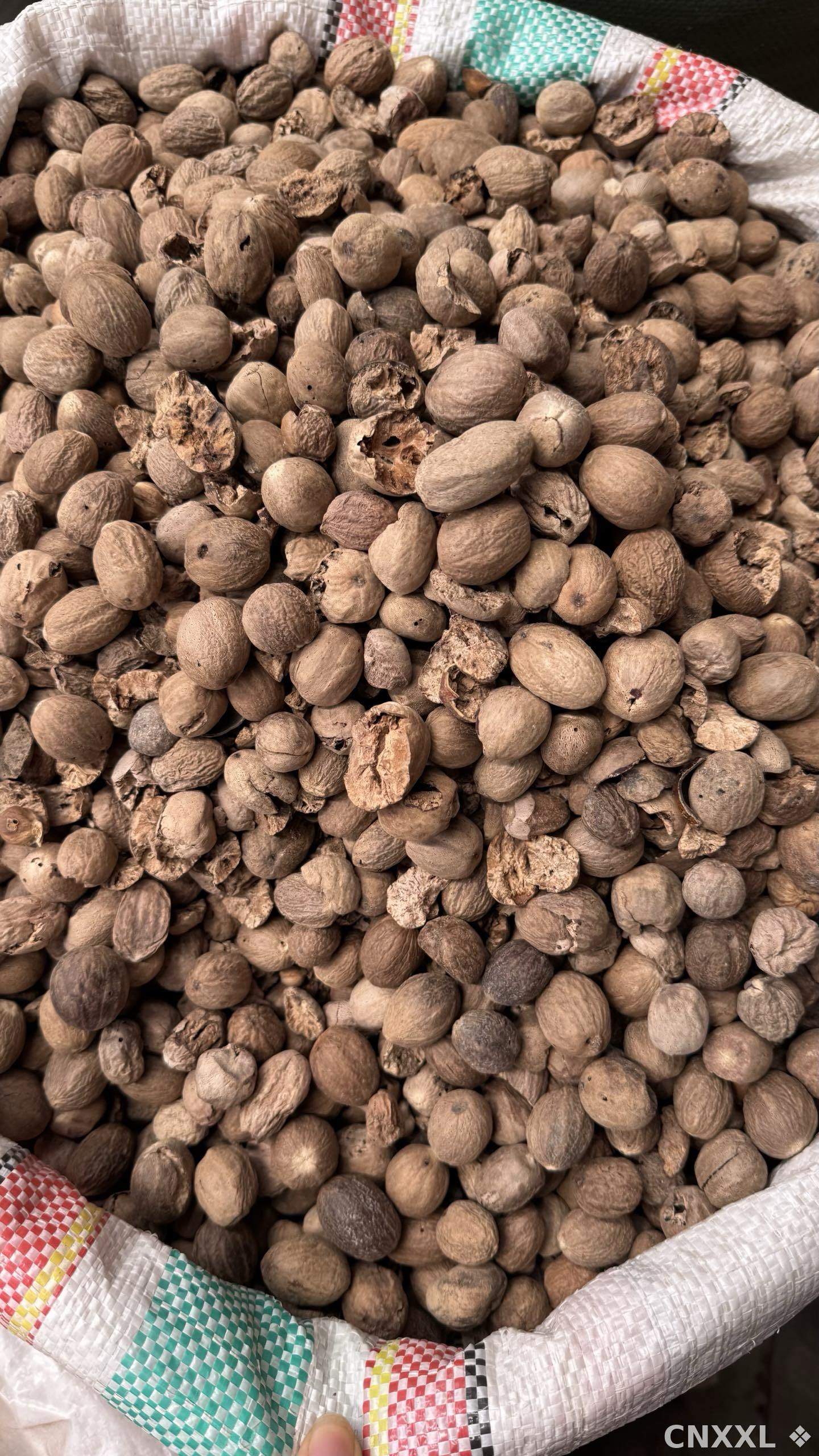 spice_8646_dcdfadcd_2.jpg