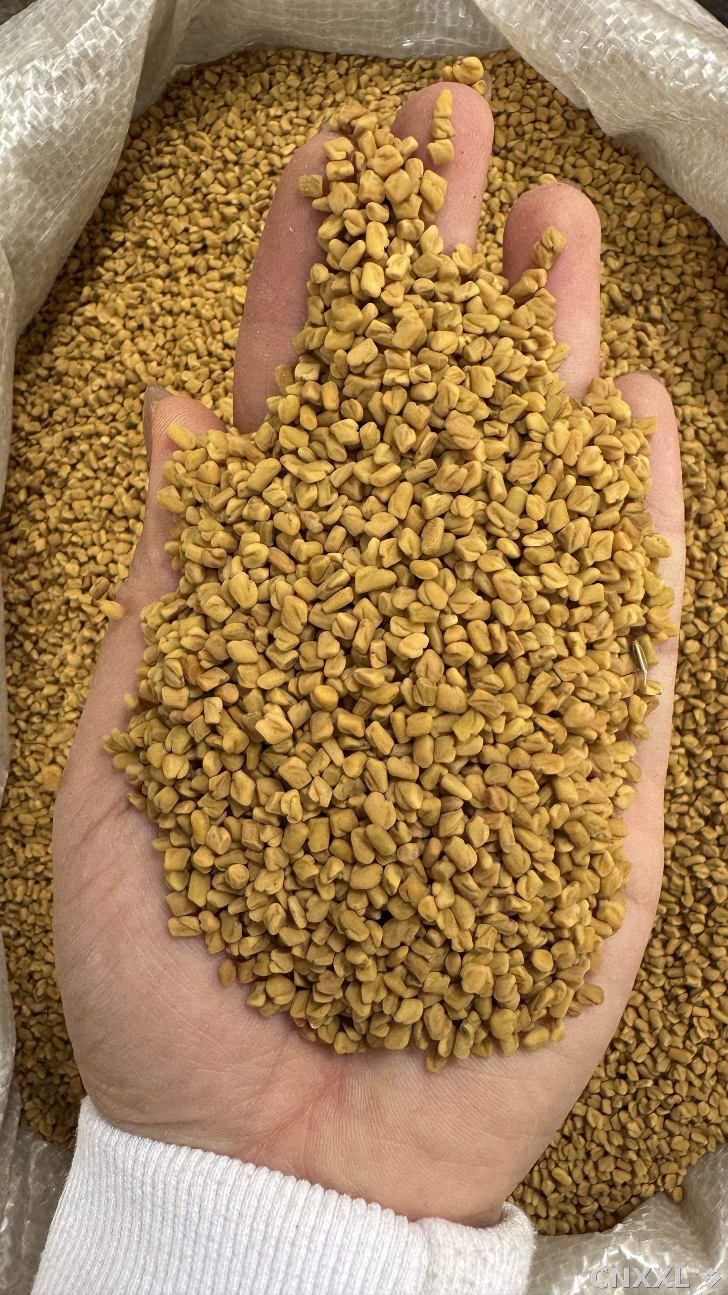 spice_8711_1c7e32e6_1.jpg