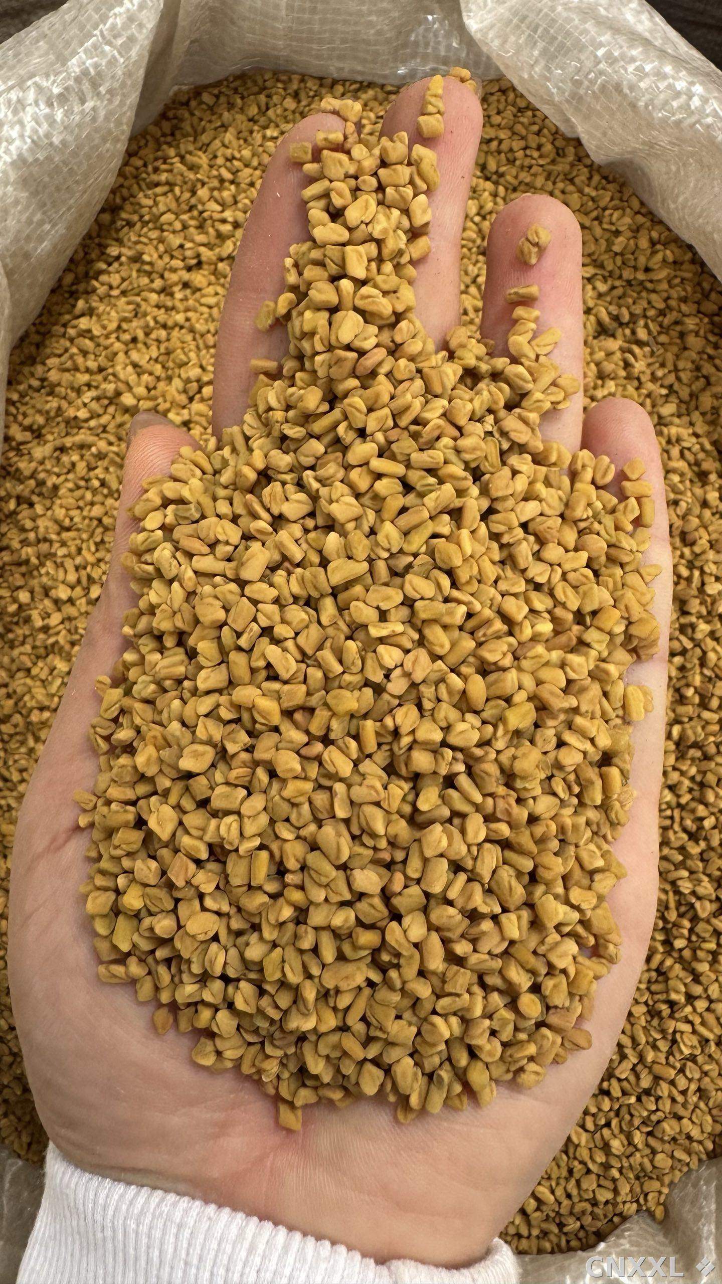 spice_8711_3b77640b_2.jpg