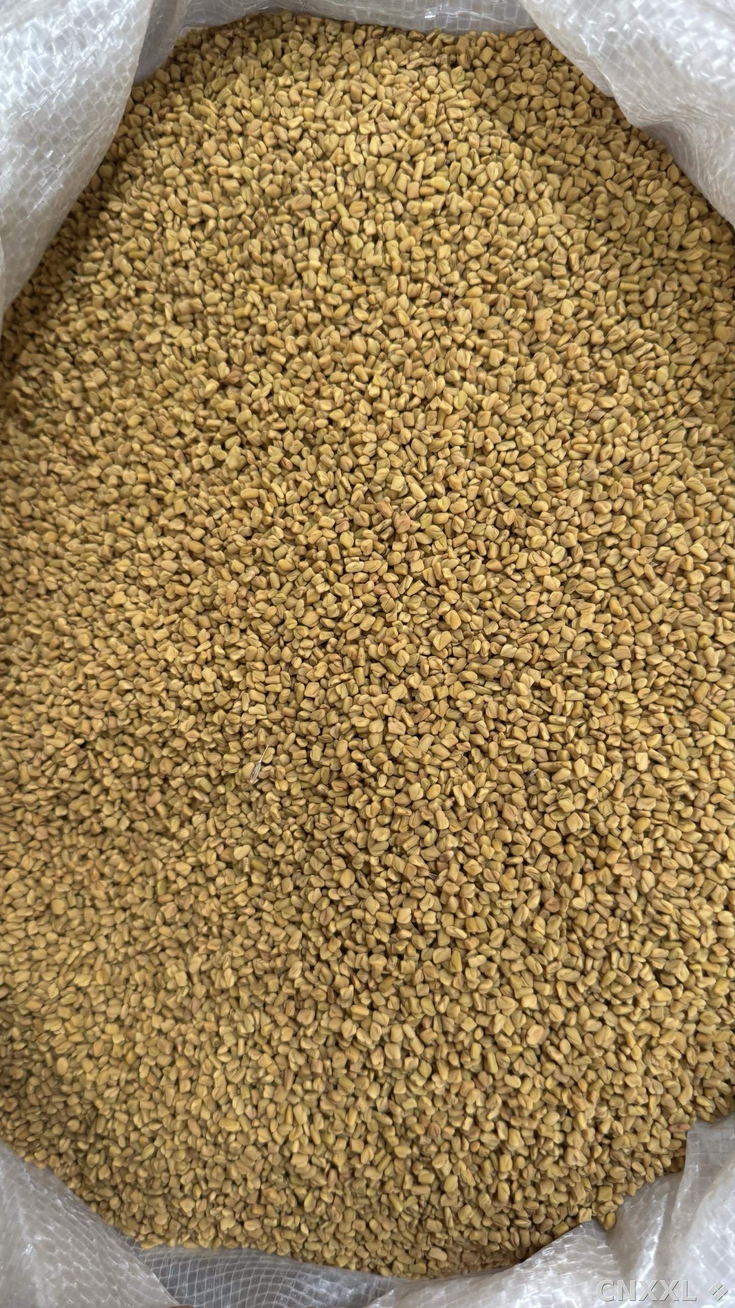 spice_8711_3d1e2098_3.jpg