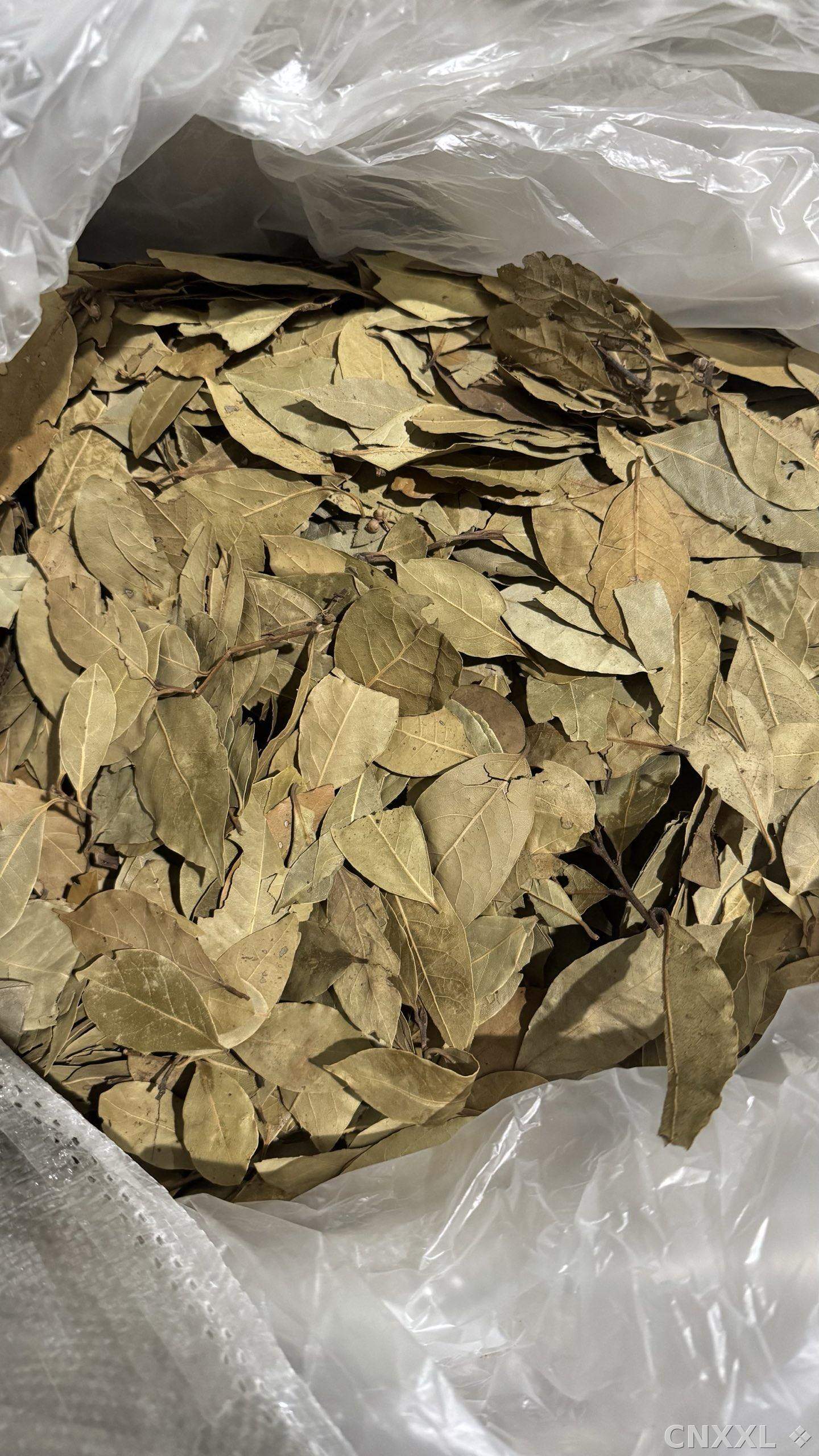 spice_8728_02c99fdc_2.jpg