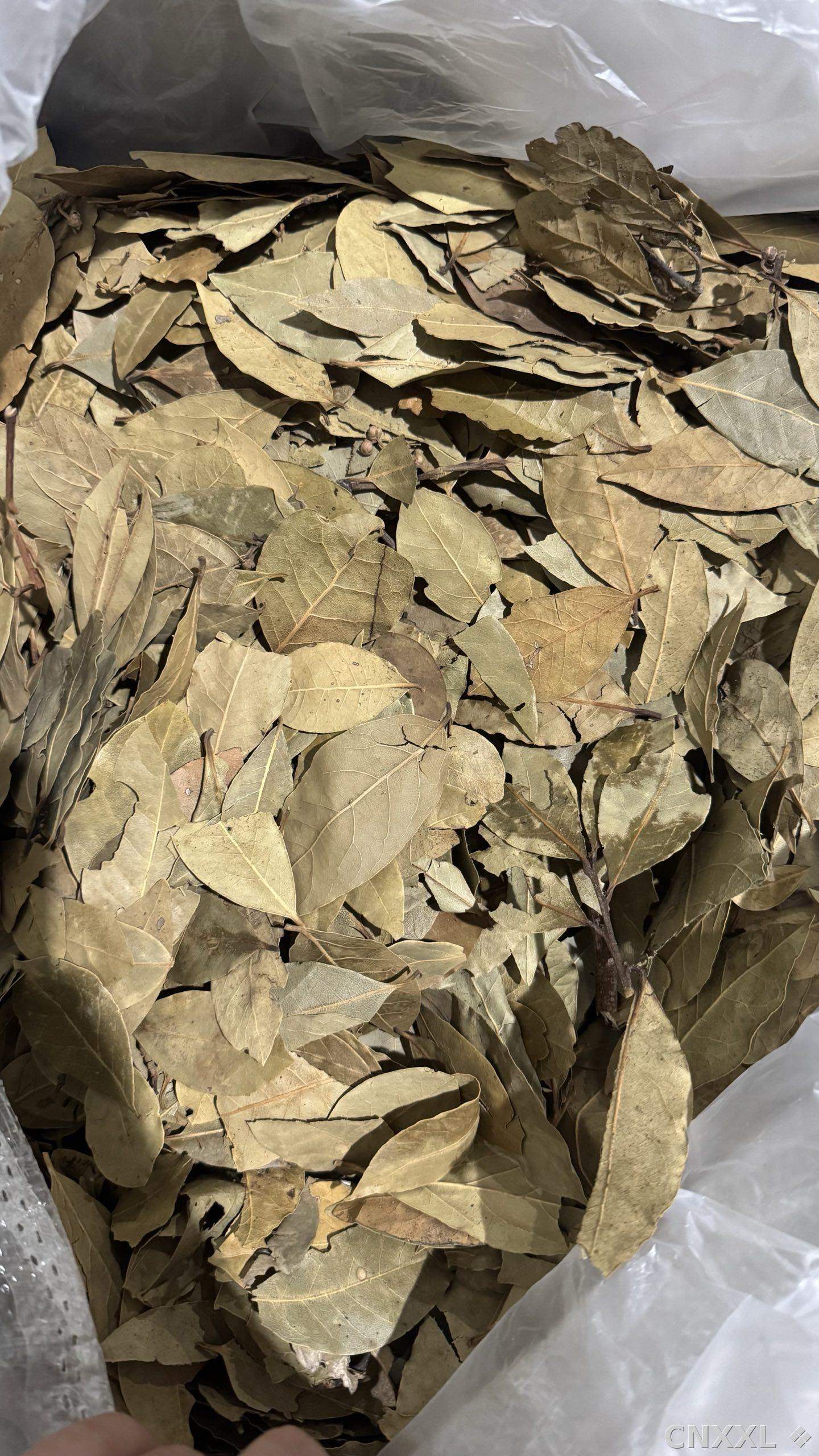 spice_8728_12e727be_3.jpg