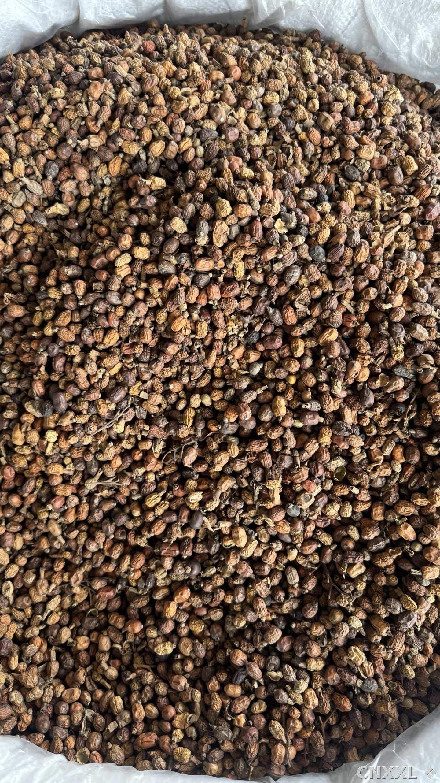 spice_8736_65749903_3.jpg