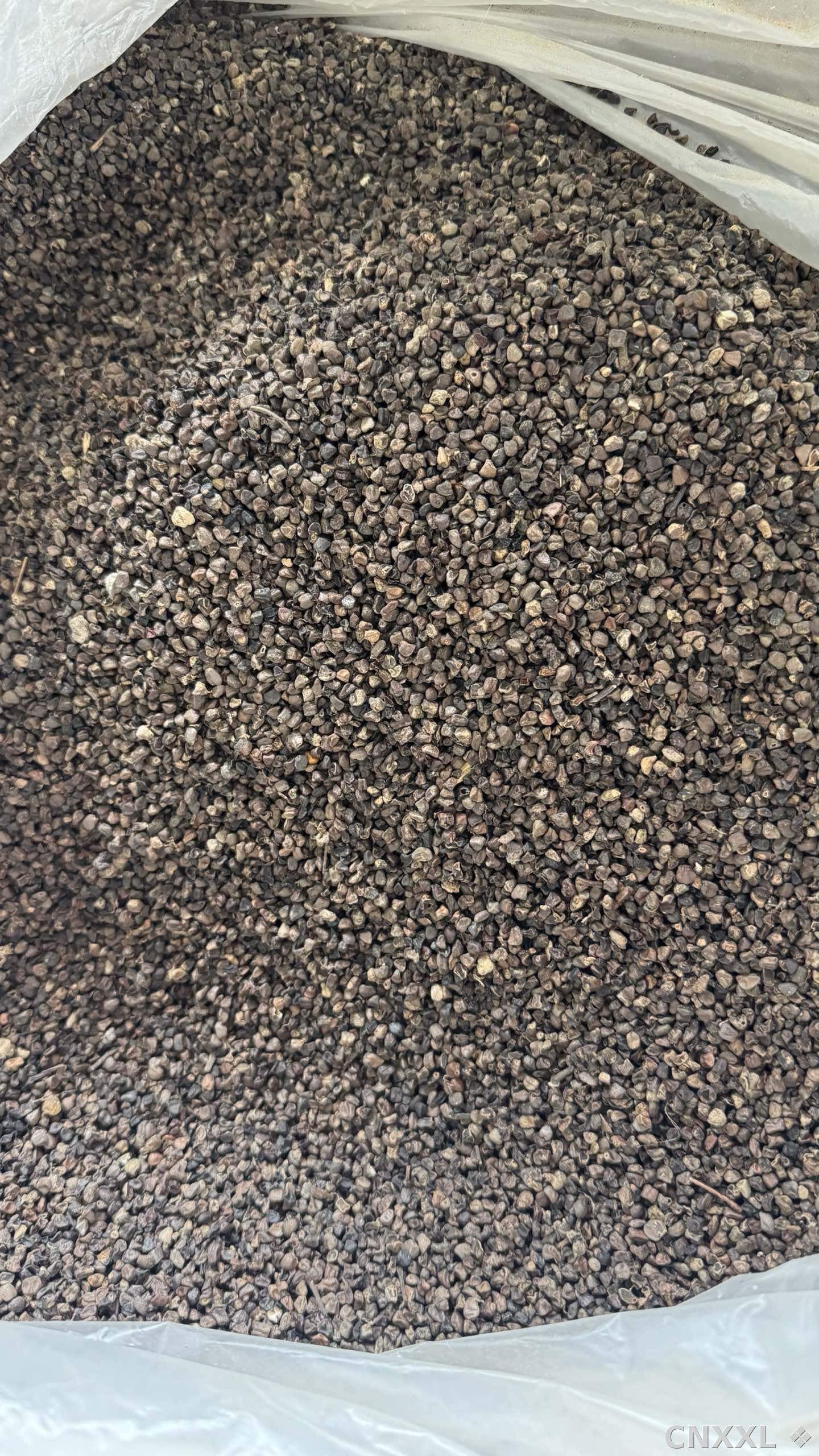 spice_8740_808b13c9_3.jpg