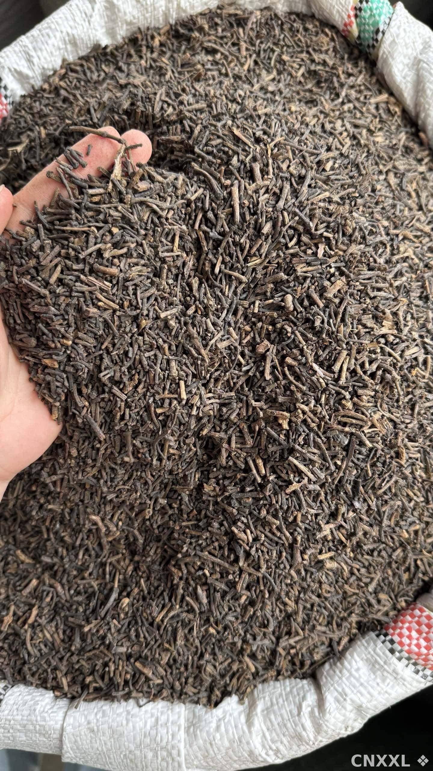 spice_8746_d2fe9b7c_3.jpg