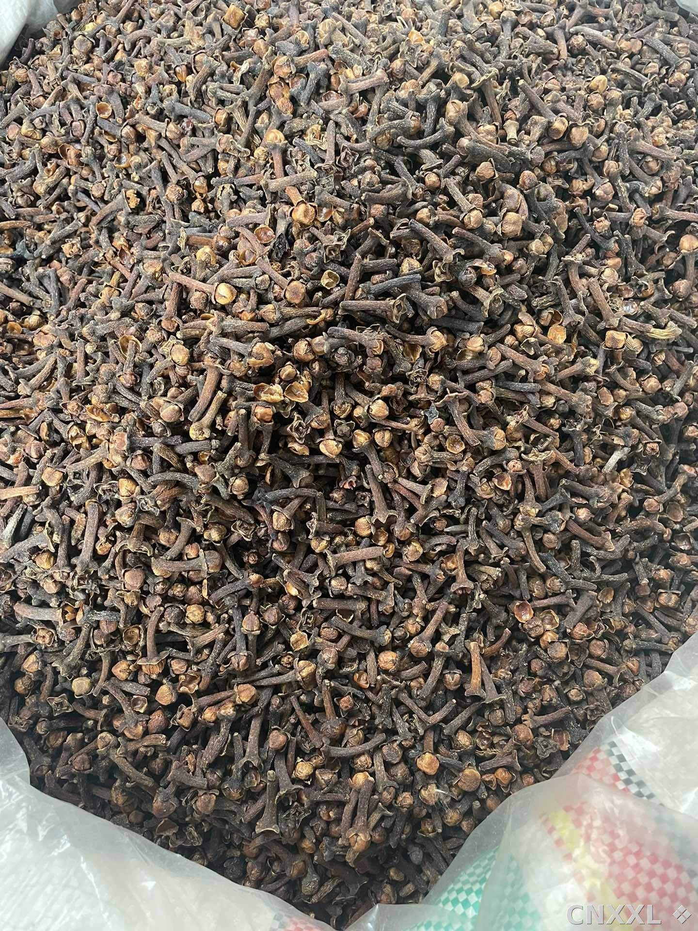 spice_8747_fc67babf_3.jpg