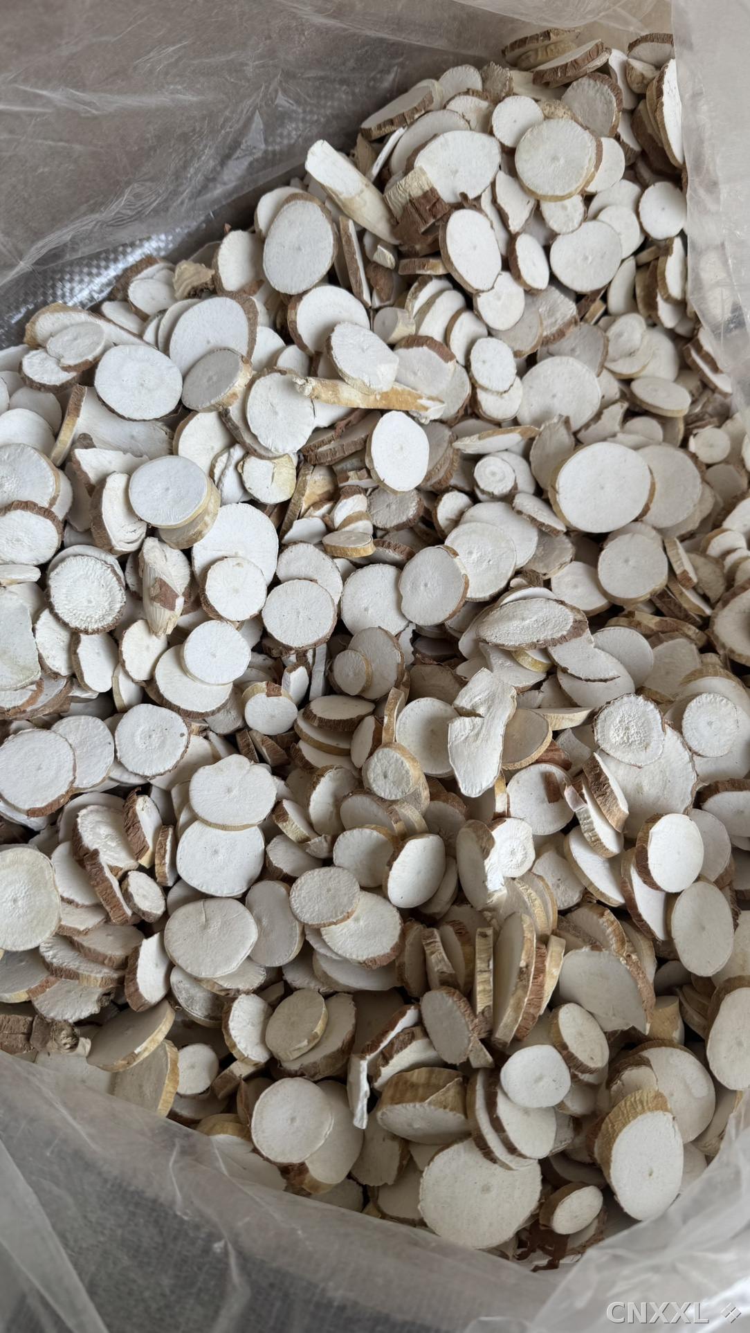 spice_8751_78b871fe_3.jpg