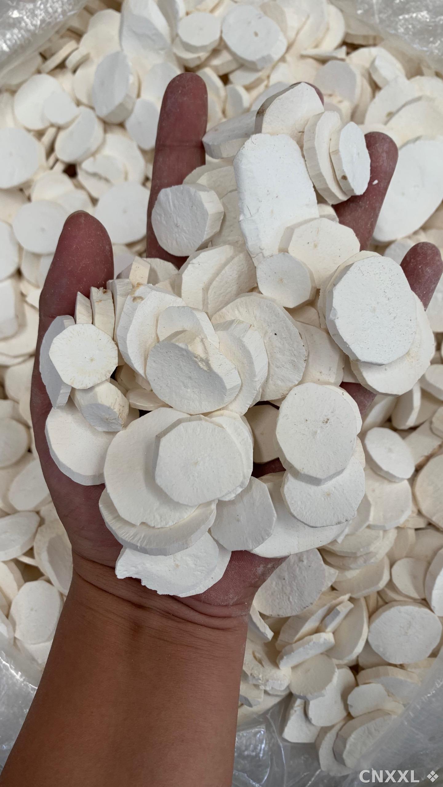 spice_8752_5b40aab8_2.jpg
