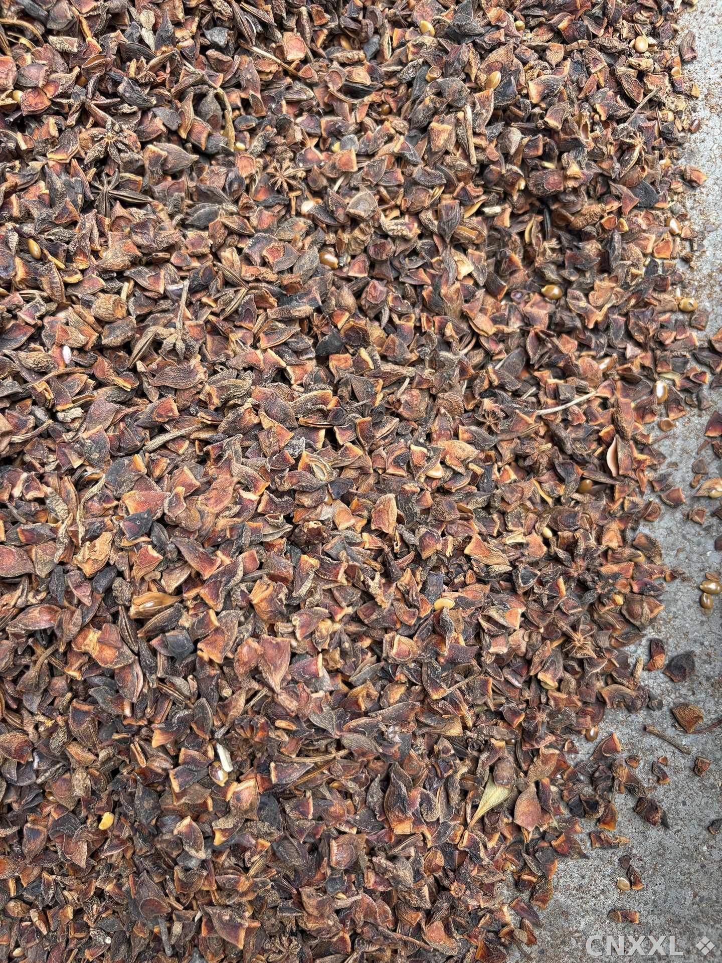 spice_8777_df238812_3.jpg