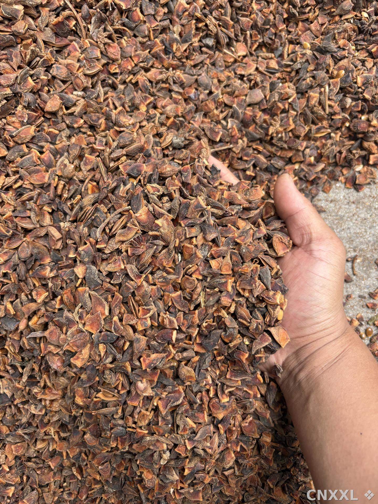 spice_8777_f06c0a27_2.jpg