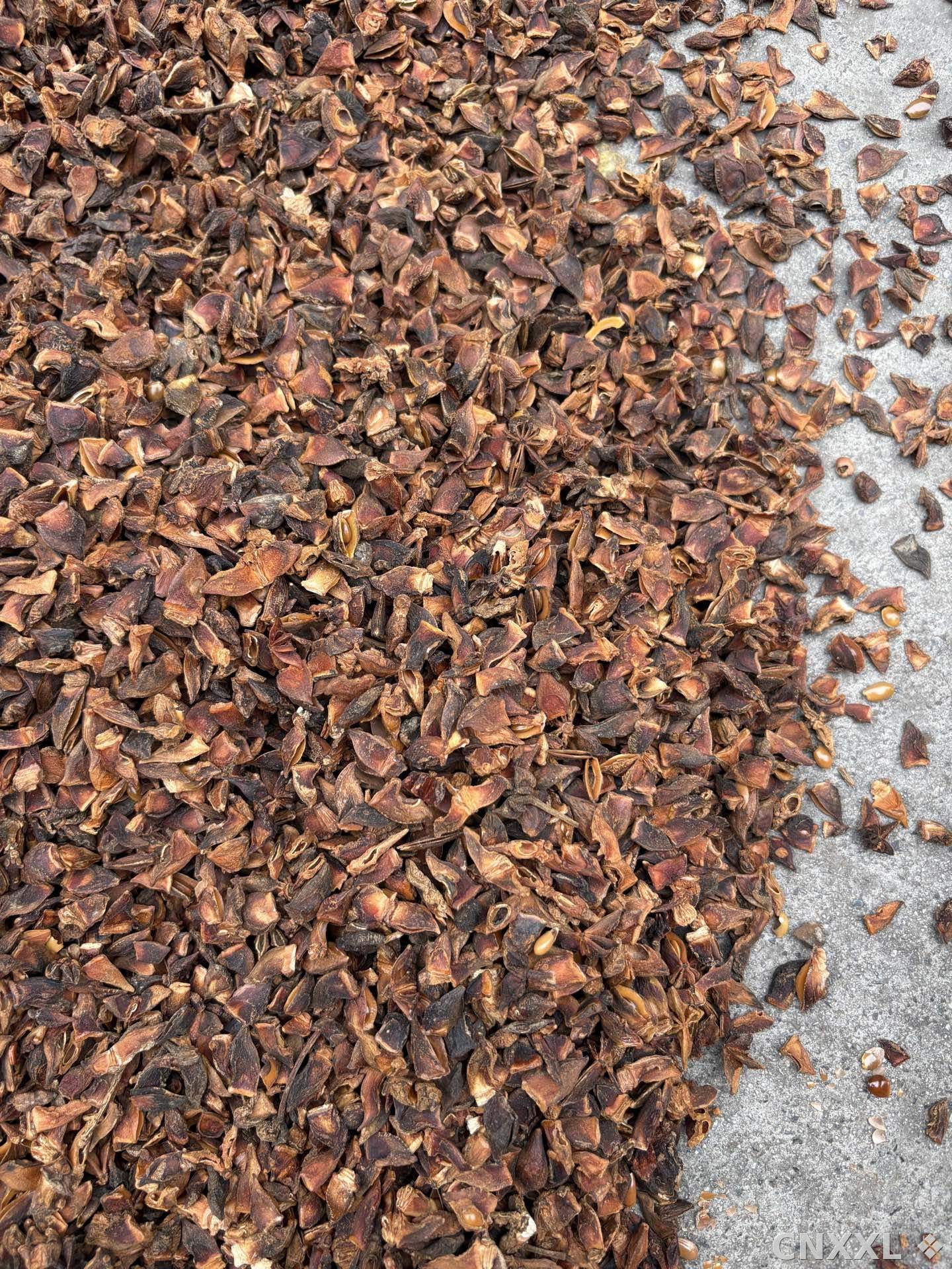 spice_8879_dc5b7de0_3.jpg