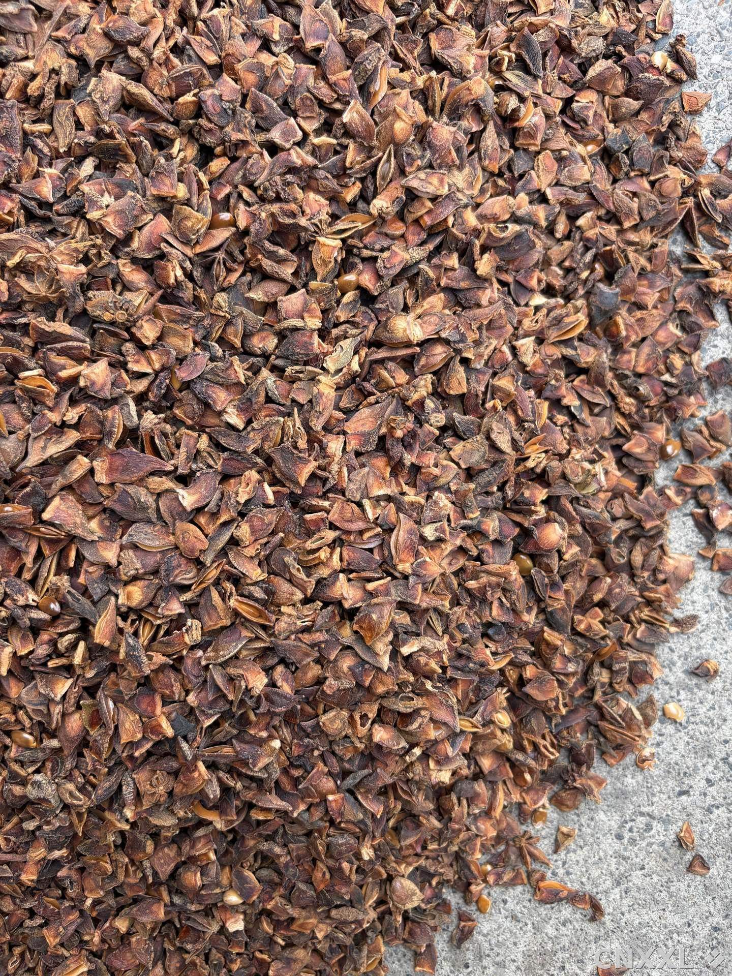 spice_8880_279cf64a_3.jpg