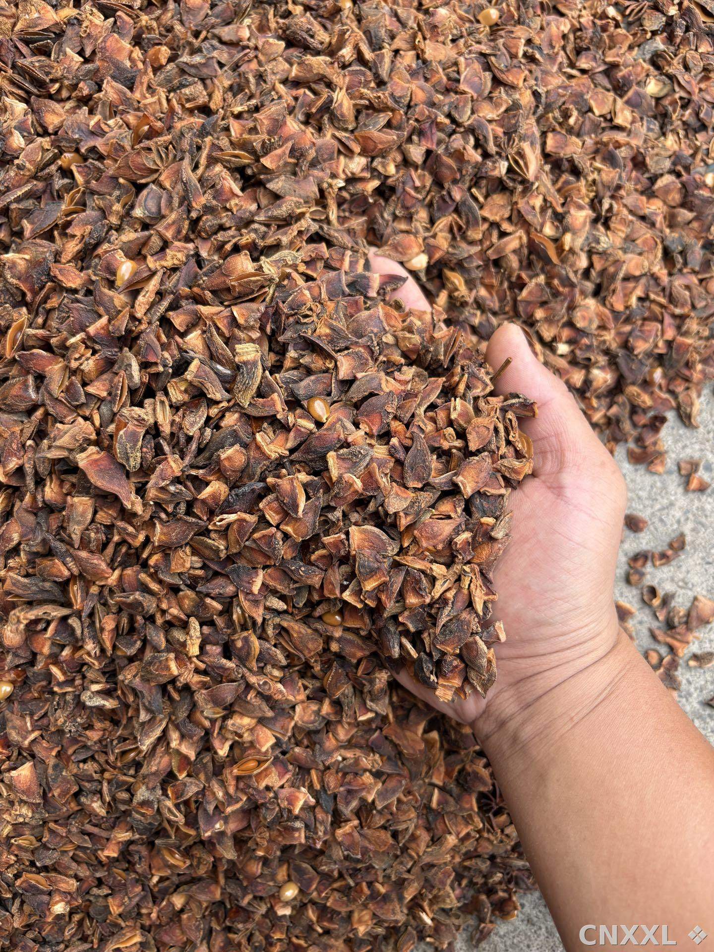 spice_8880_bc8f9c95_2.jpg
