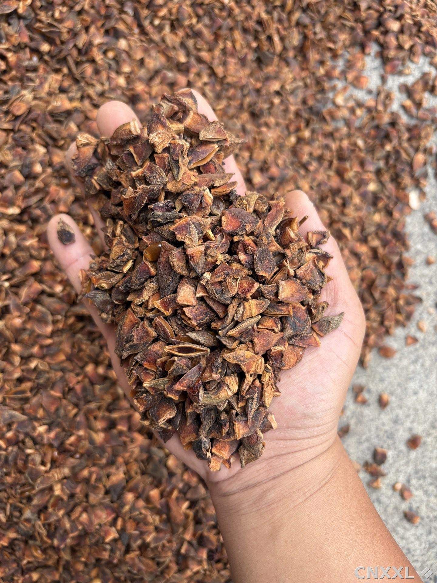 spice_8880_f7ef201e_1.jpg