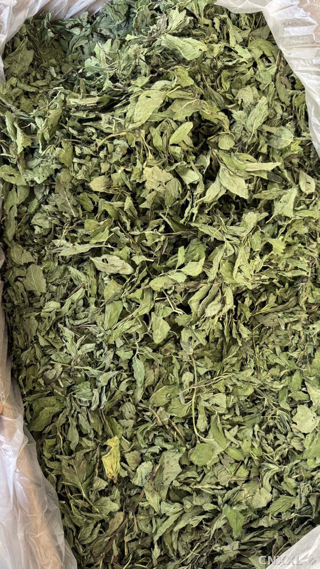 spice_8902_f3811ff2_3.jpg