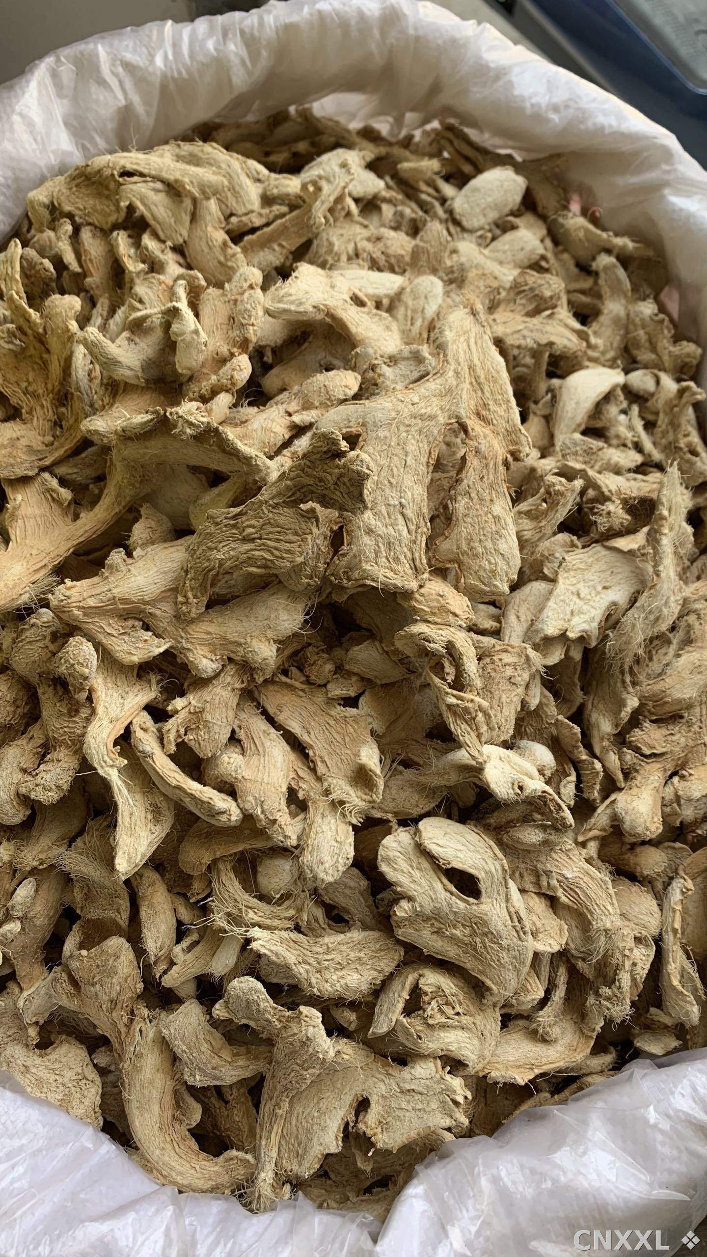 spice_8913_995bd687_3.jpg