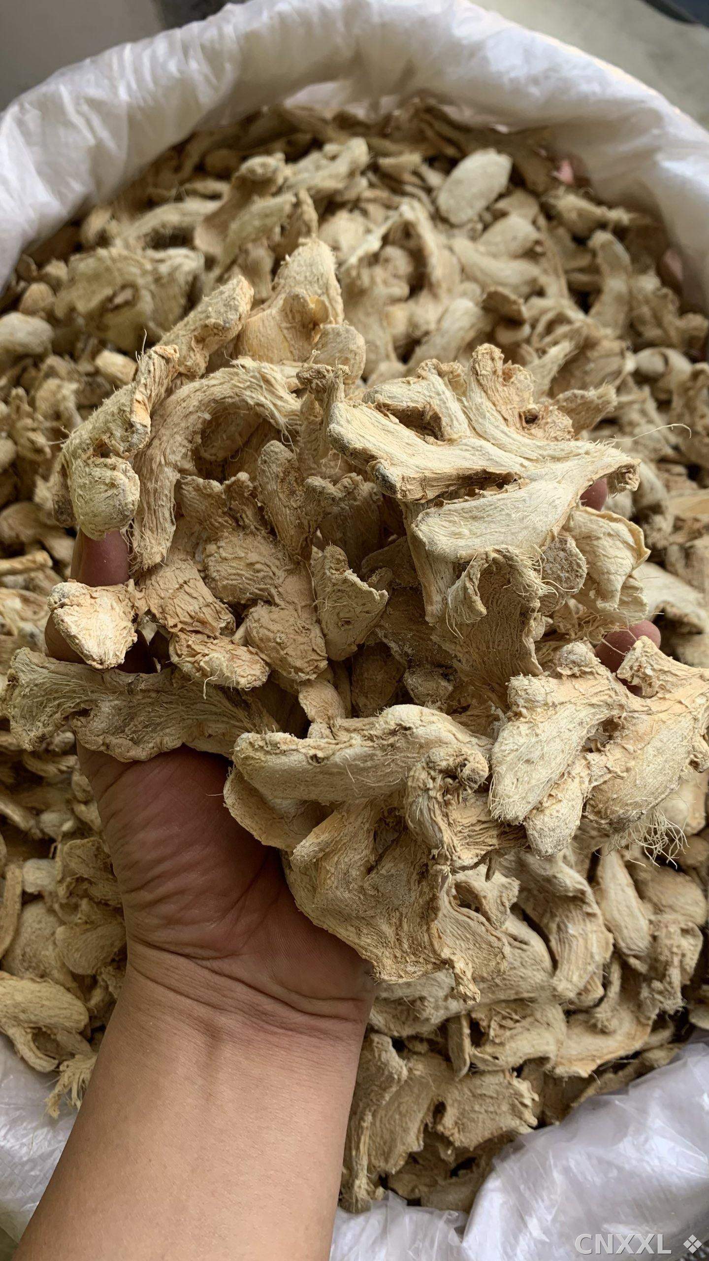 spice_8913_f2a0c68c_2.jpg