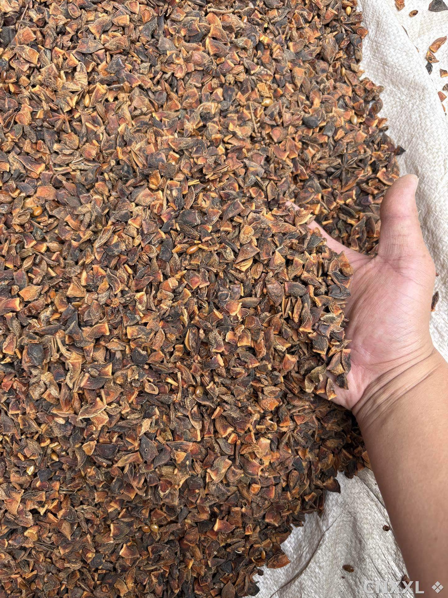 spice_8935_5f83da32_2.jpg