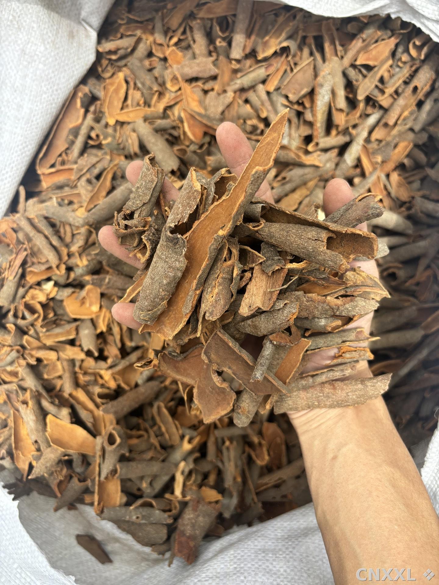 spice_8966_8dfee210_2.jpg