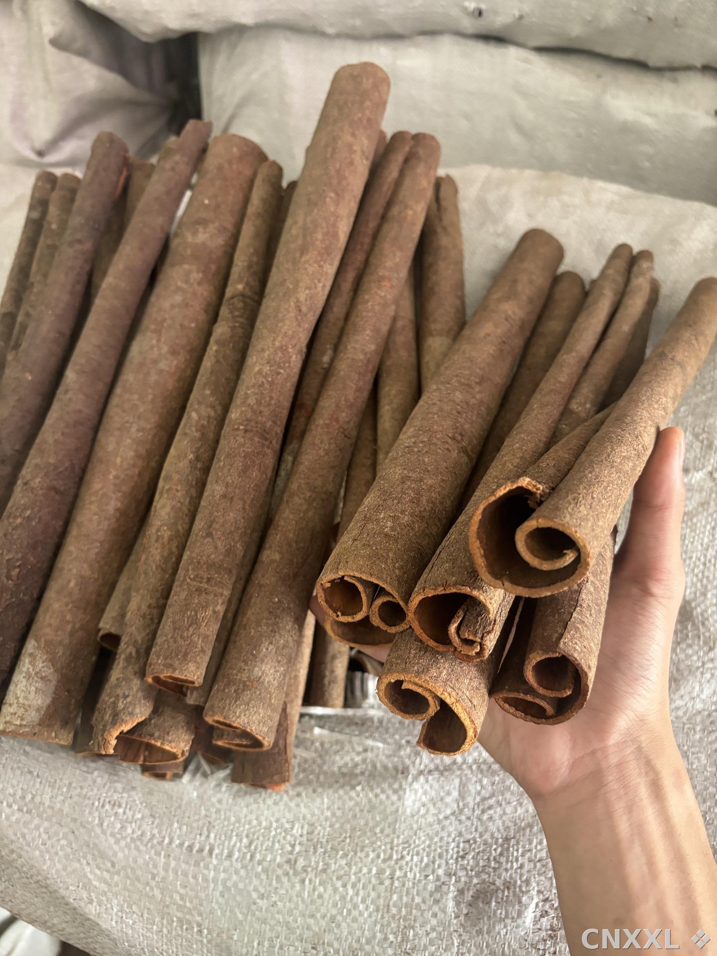 spice_8969_2f70650c_2.jpg