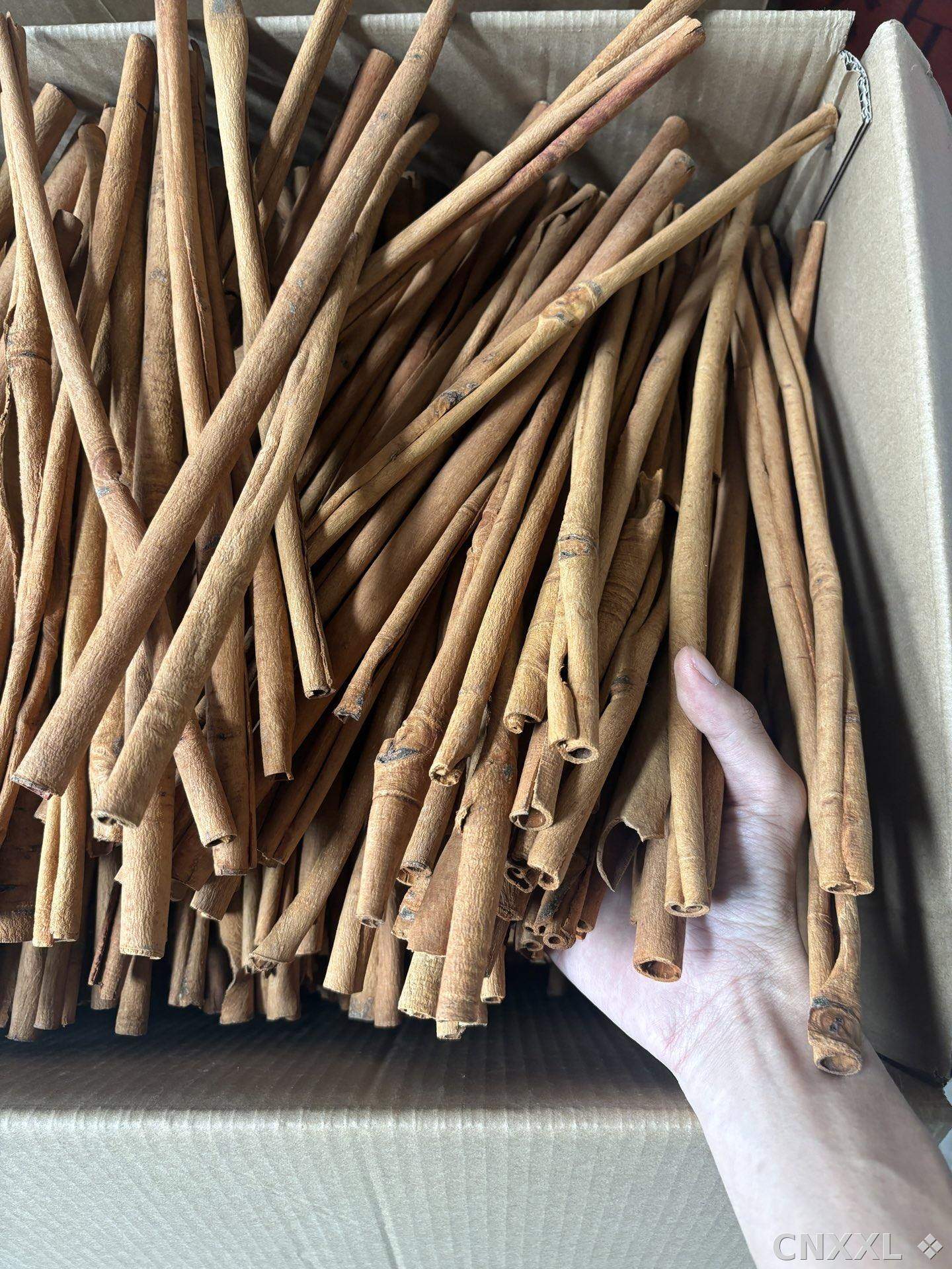 spice_8971_ba1d5125_1.jpg