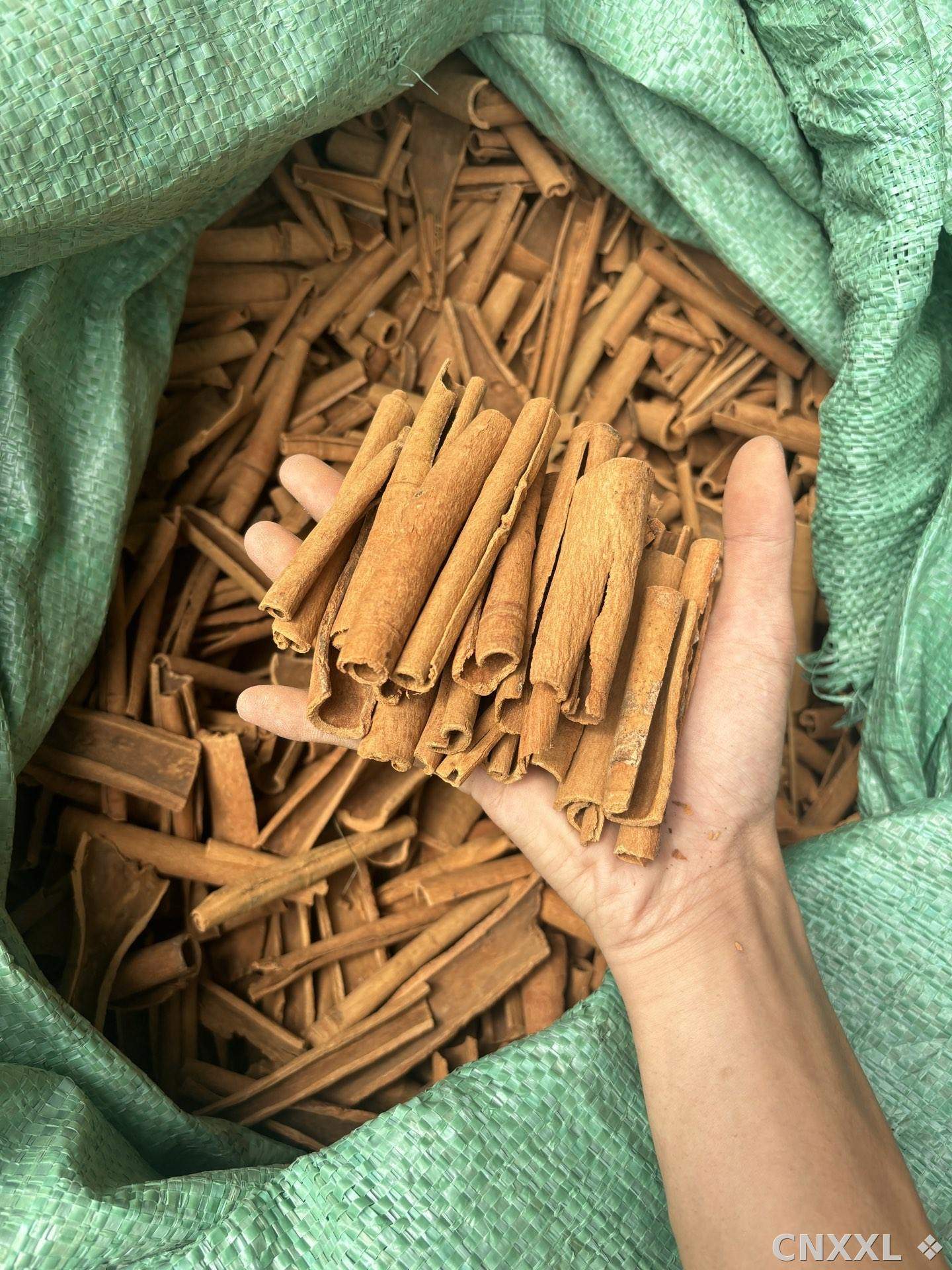 spice_8973_0cf34e7b_2.jpg
