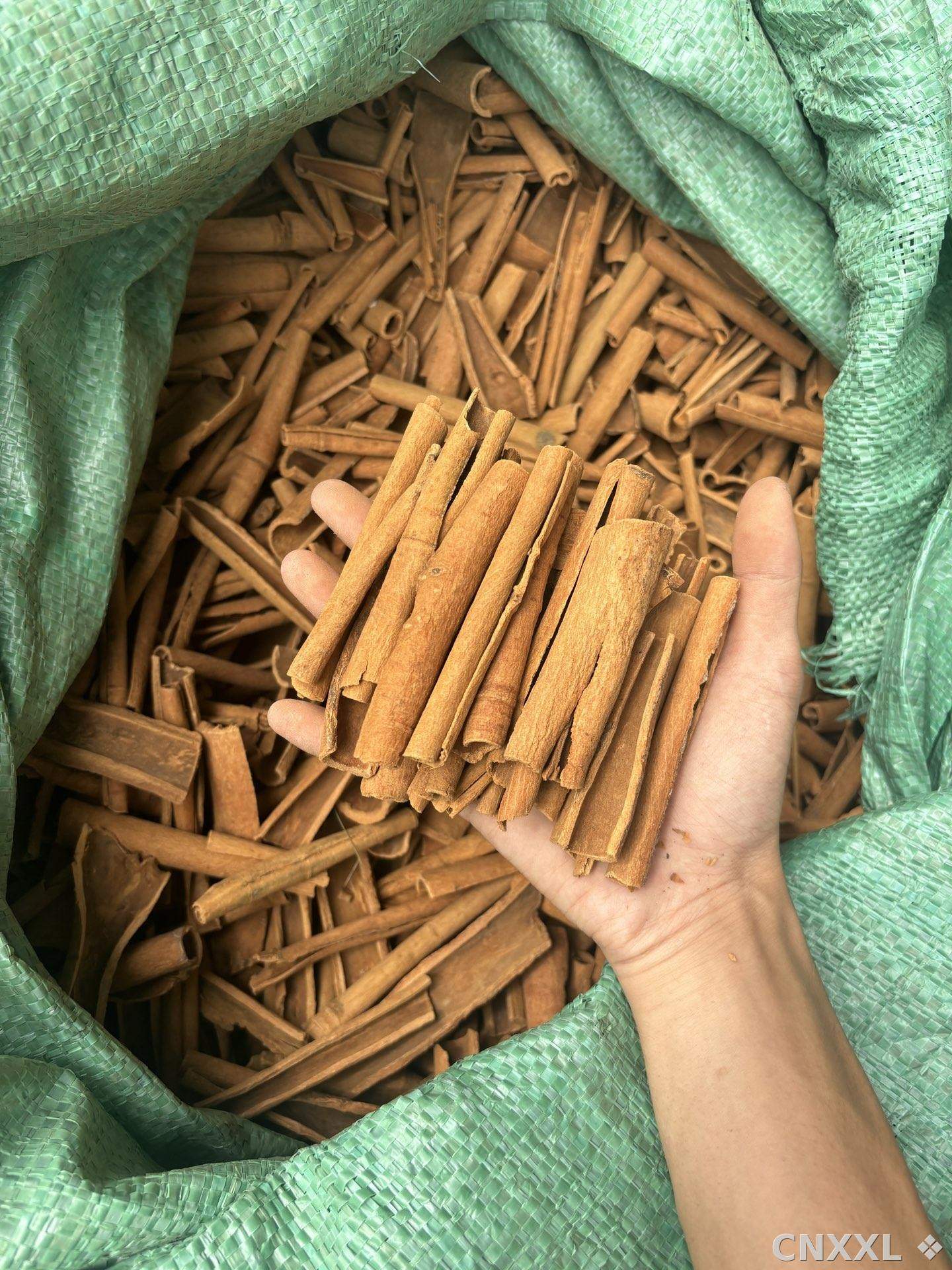 spice_8973_b39ad638_3.jpg