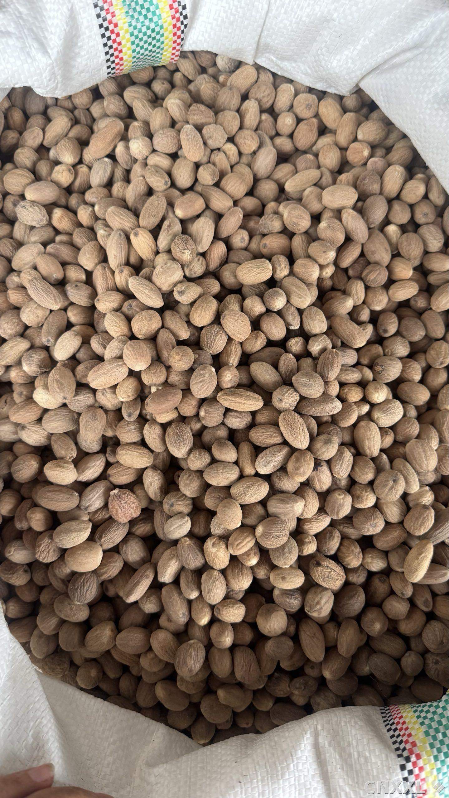spice_8_70693f36_2.jpg