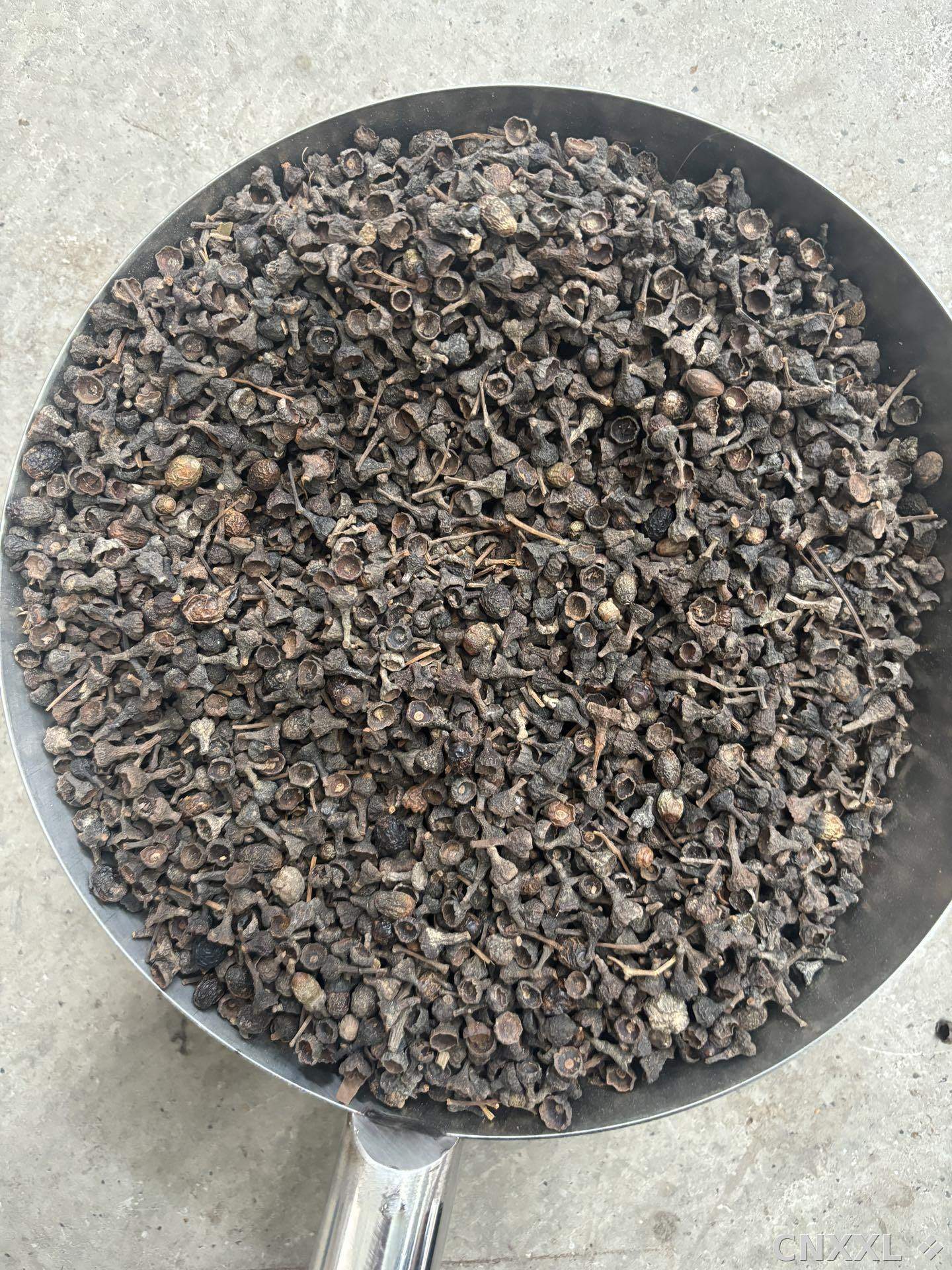 spice_9000_ffe6bf0b_3.jpg