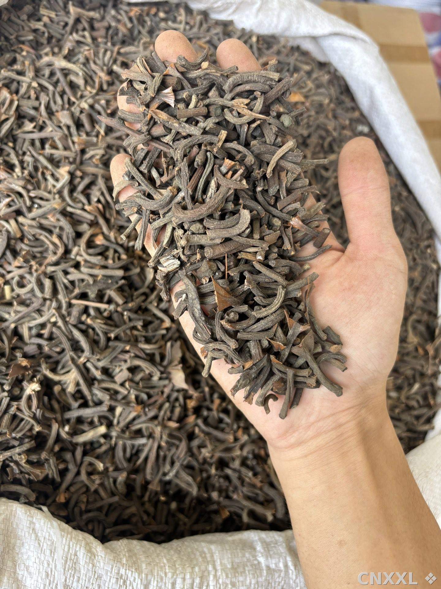 spice_9002_891ae5fe_2.jpg