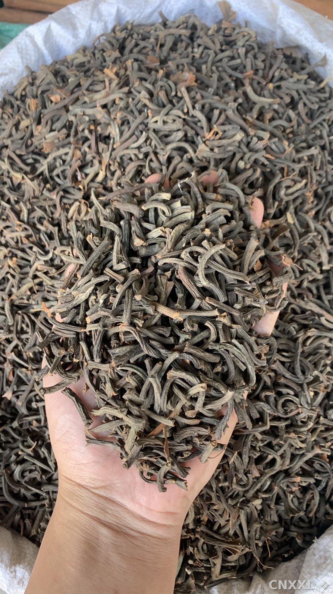 spice_9003_6c546cb7_1.jpg