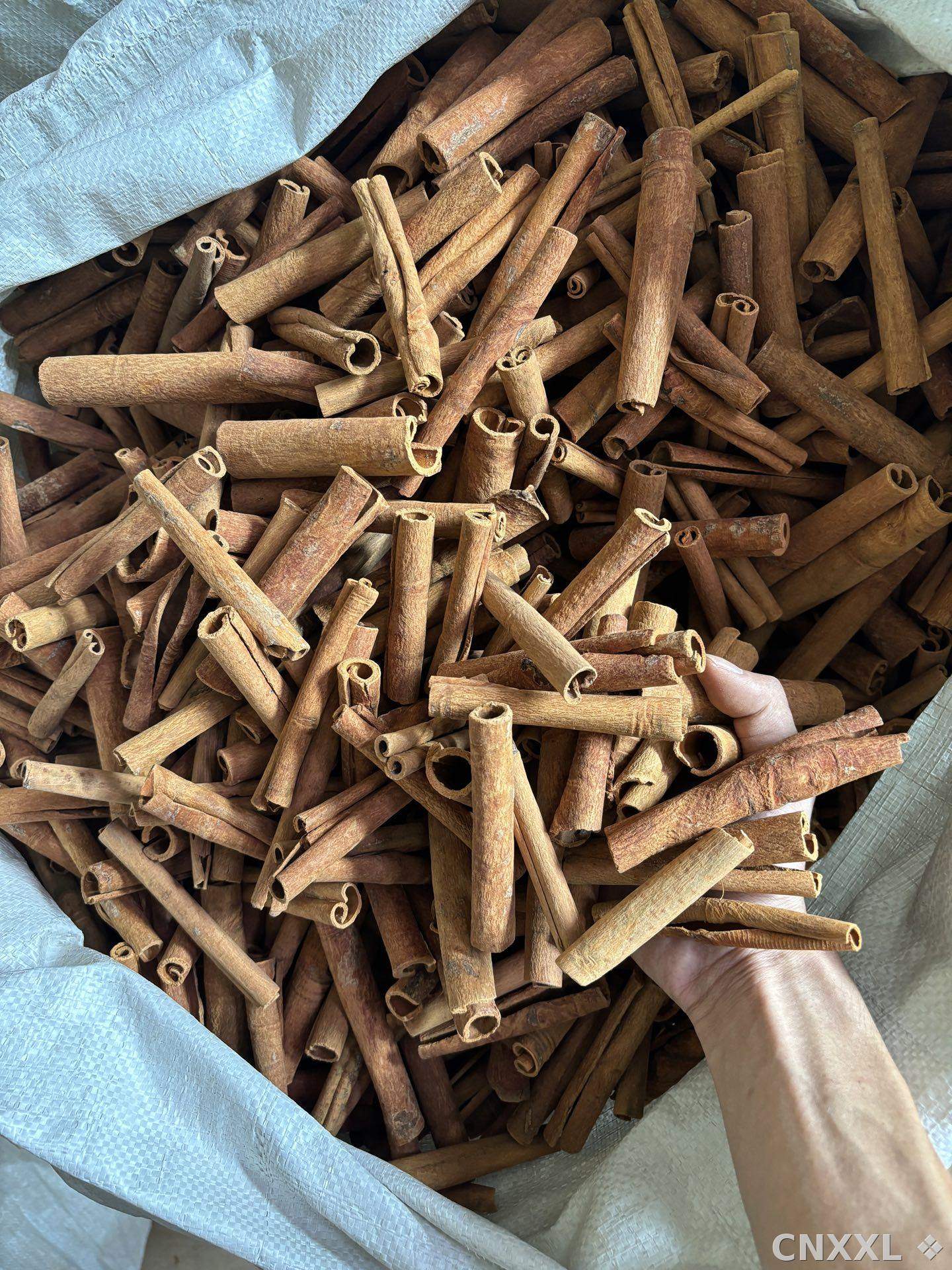 spice_9032_3336ce85_3.jpg