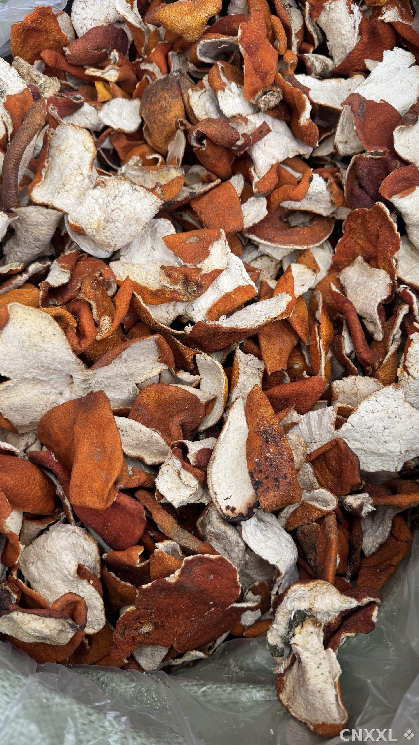 spice_9123_d0e483de_3.jpg