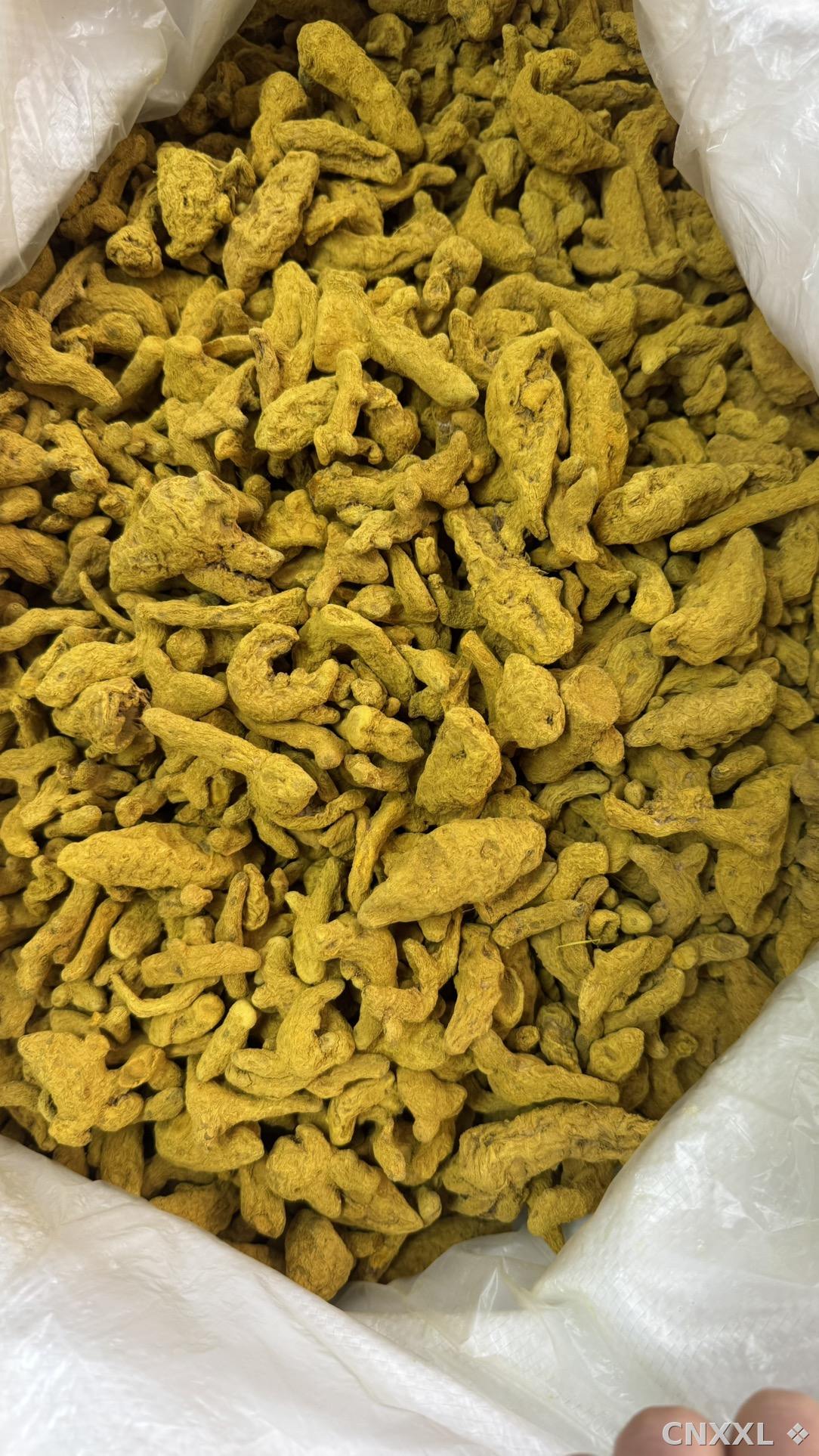 spice_9484_8427bd3f_3.jpg
