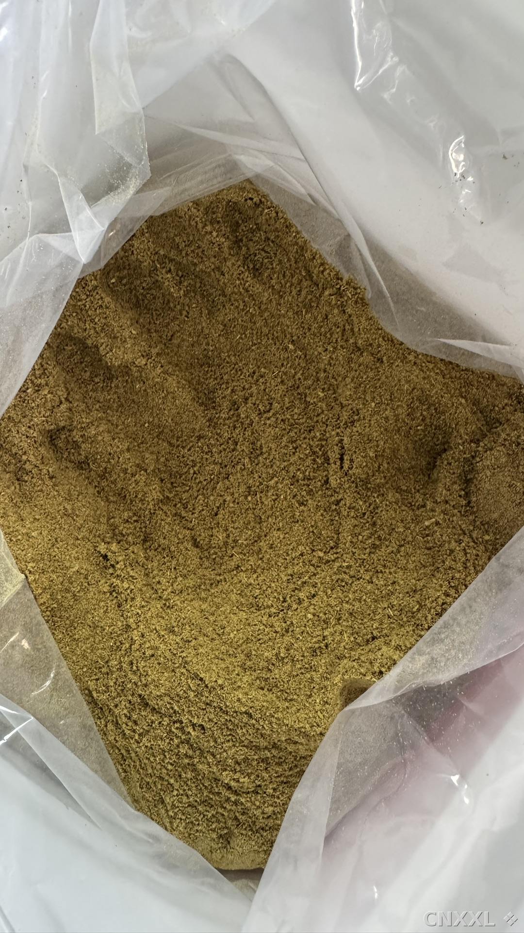 spice_9486_8f000a6e_2.jpg