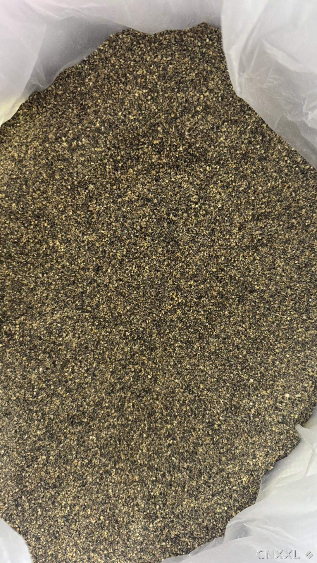 spice_9489_37a5b82d_2.jpg