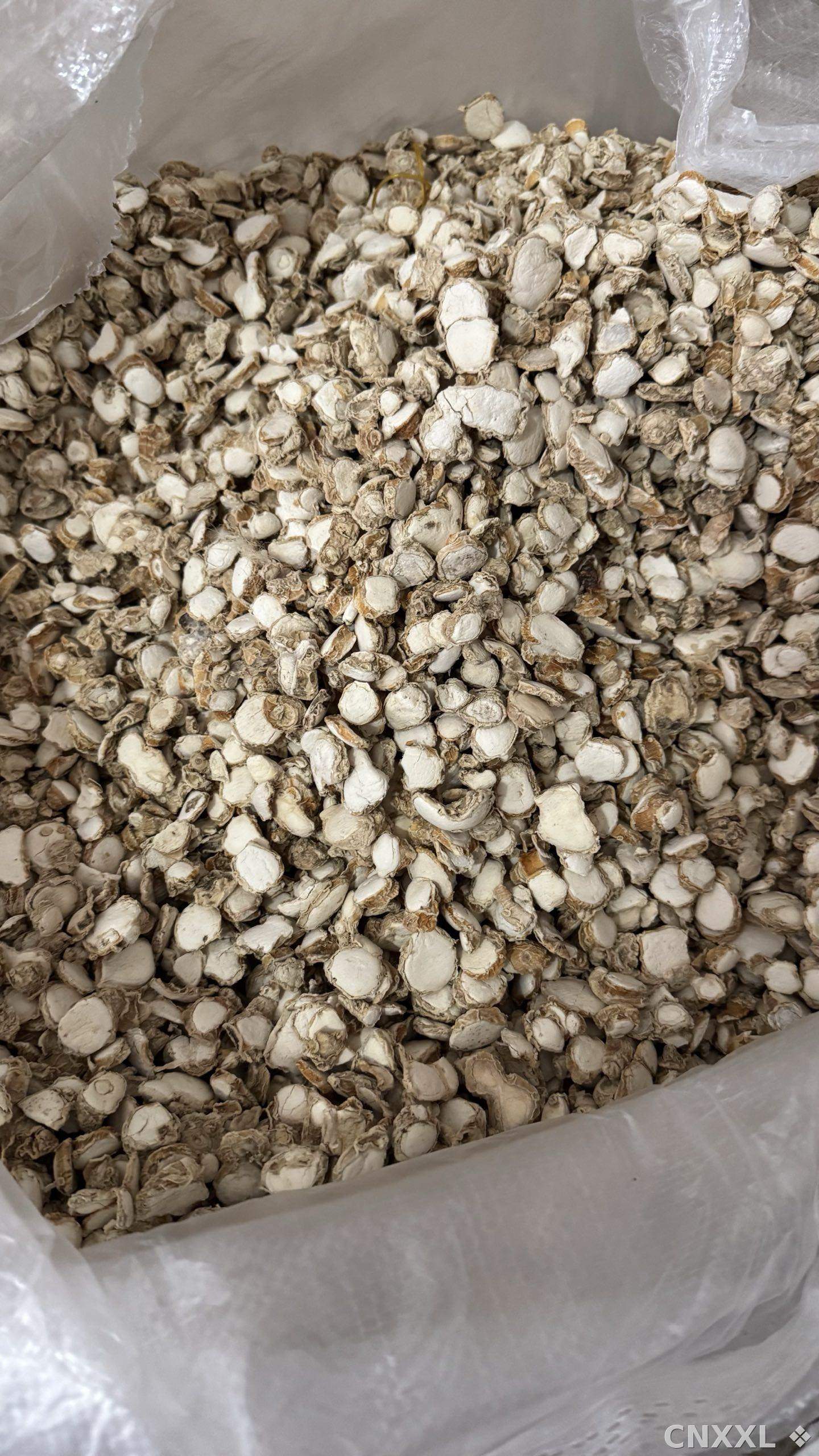 spice_9499_5d413a3f_3.jpg