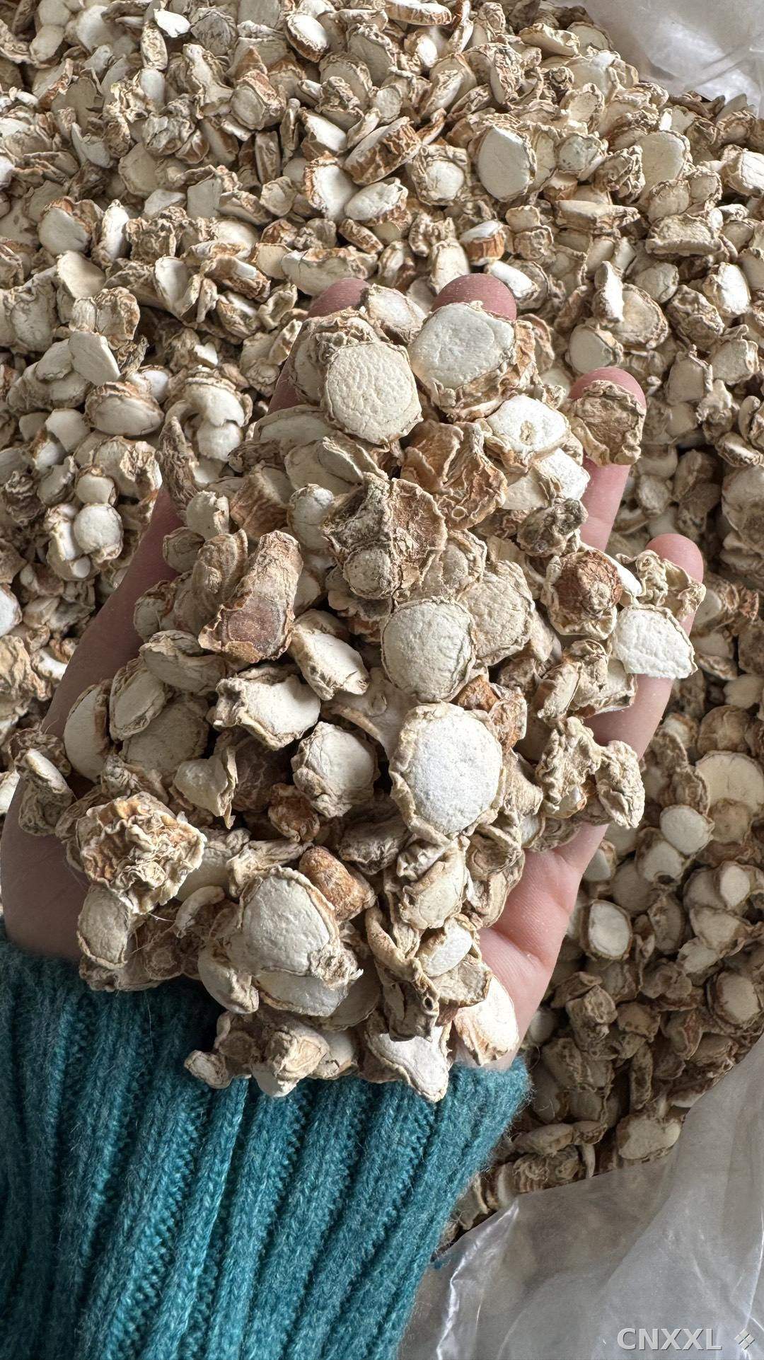 spice_9500_f8e56f0b_2.jpg